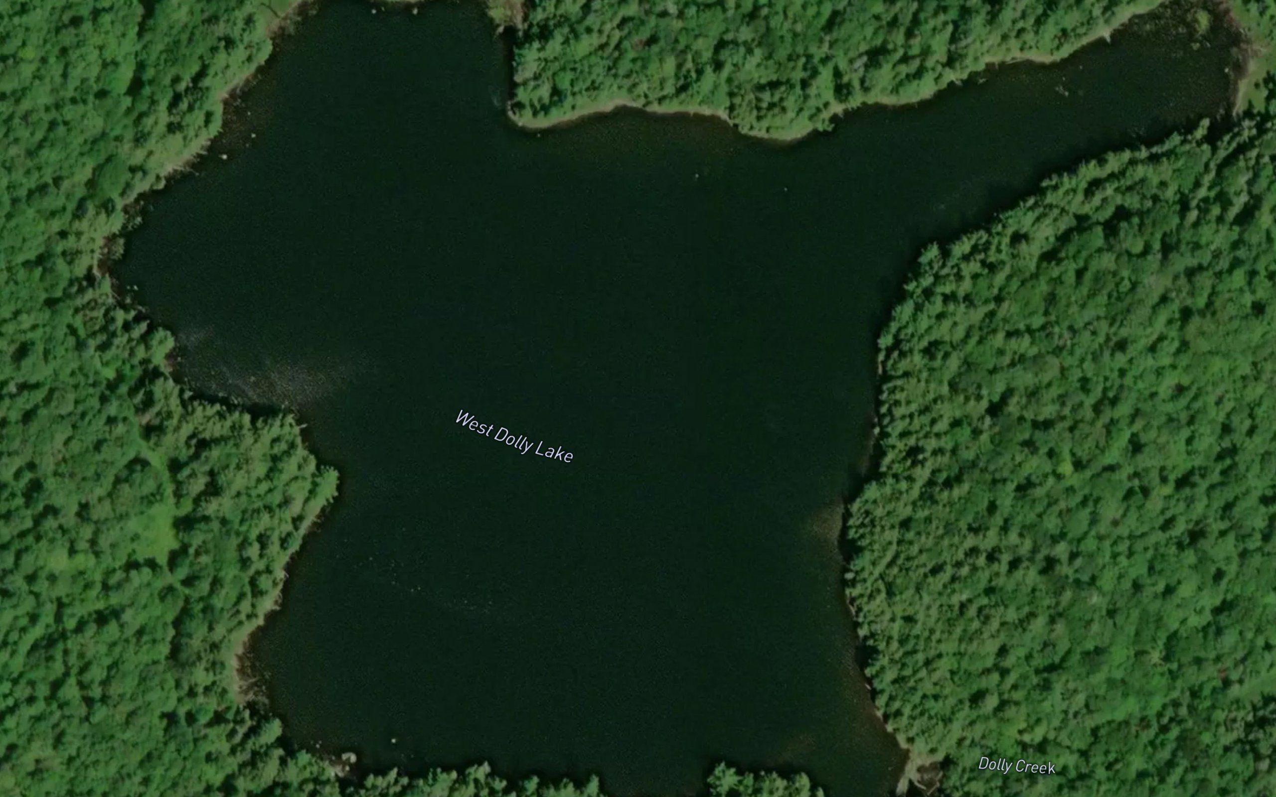 West Dolly Lake