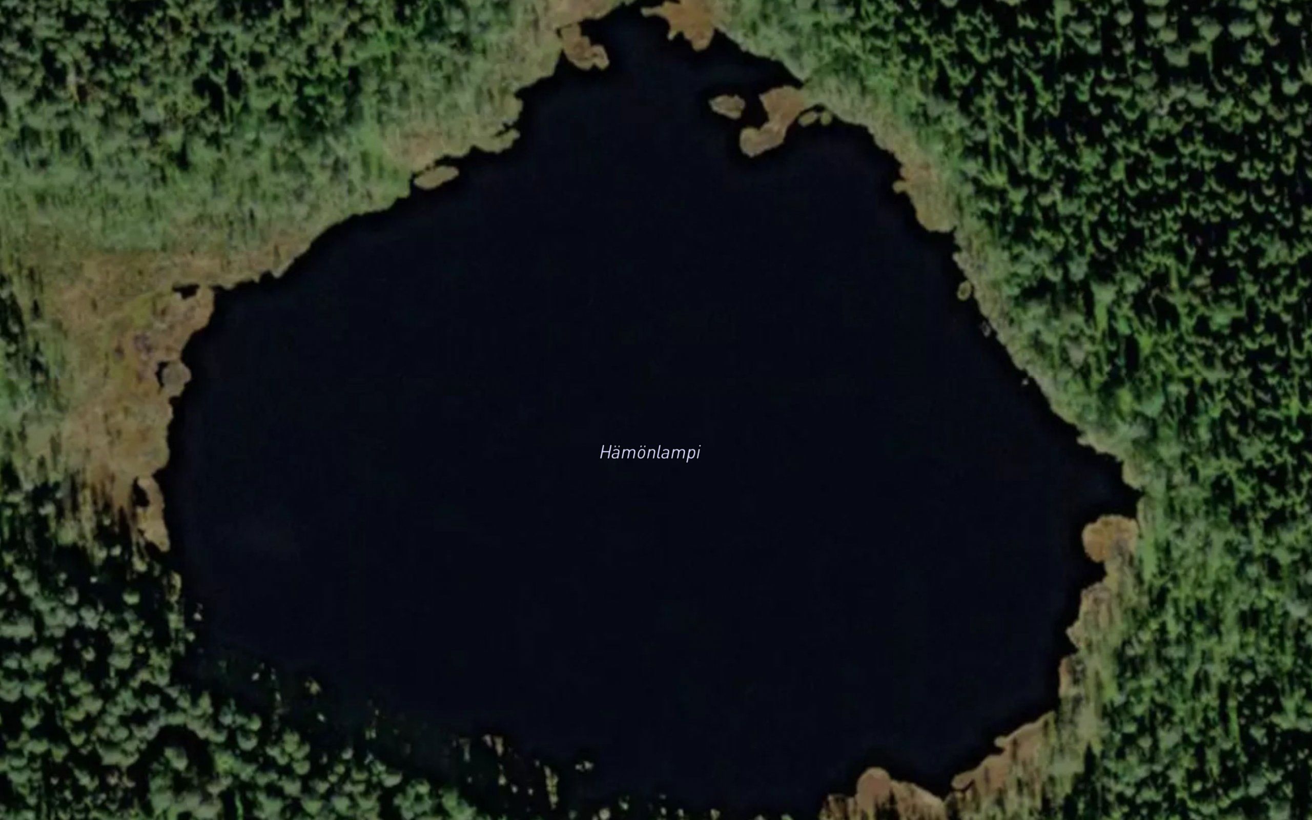 Hamonlampi