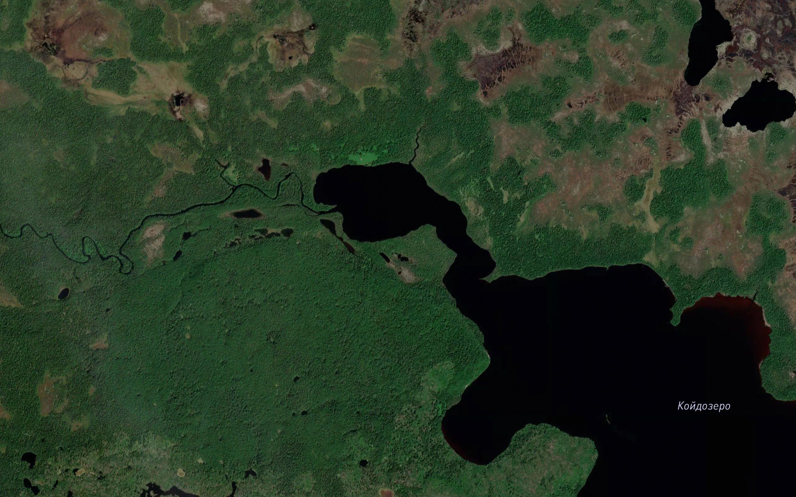 Koptyakovka