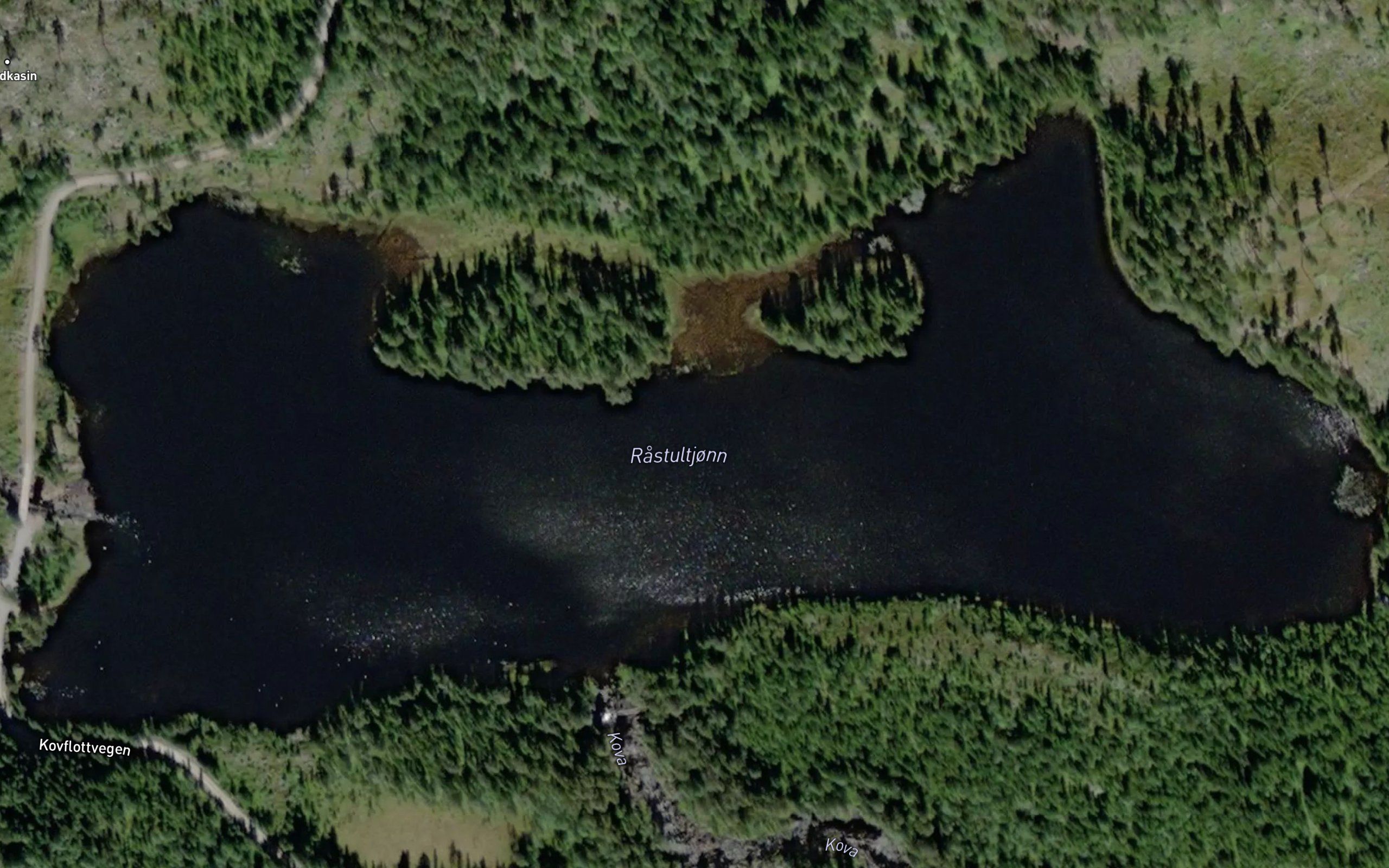 Rastultjonn