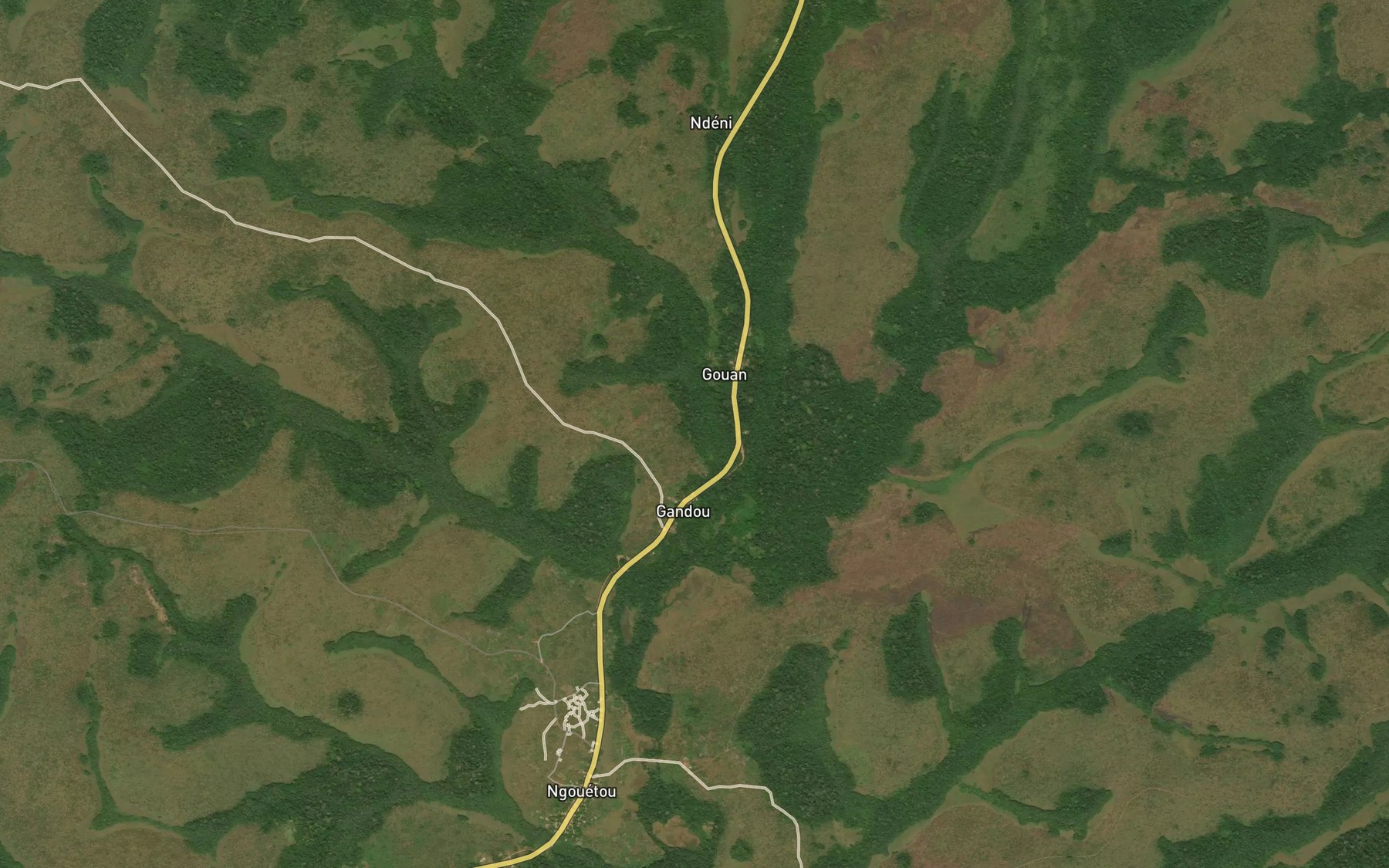 Satellite map of the Mandji