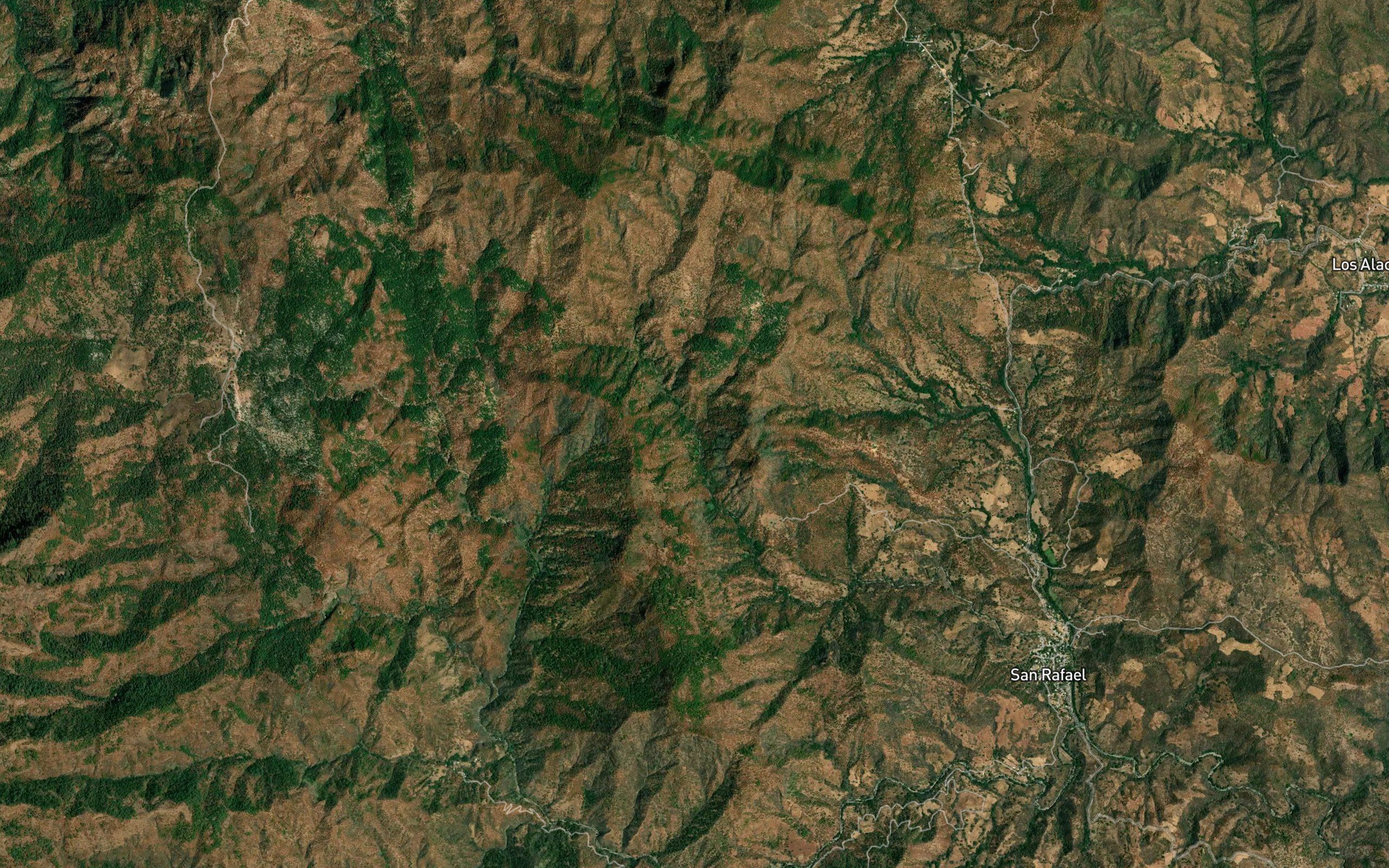 Barranca Panicual