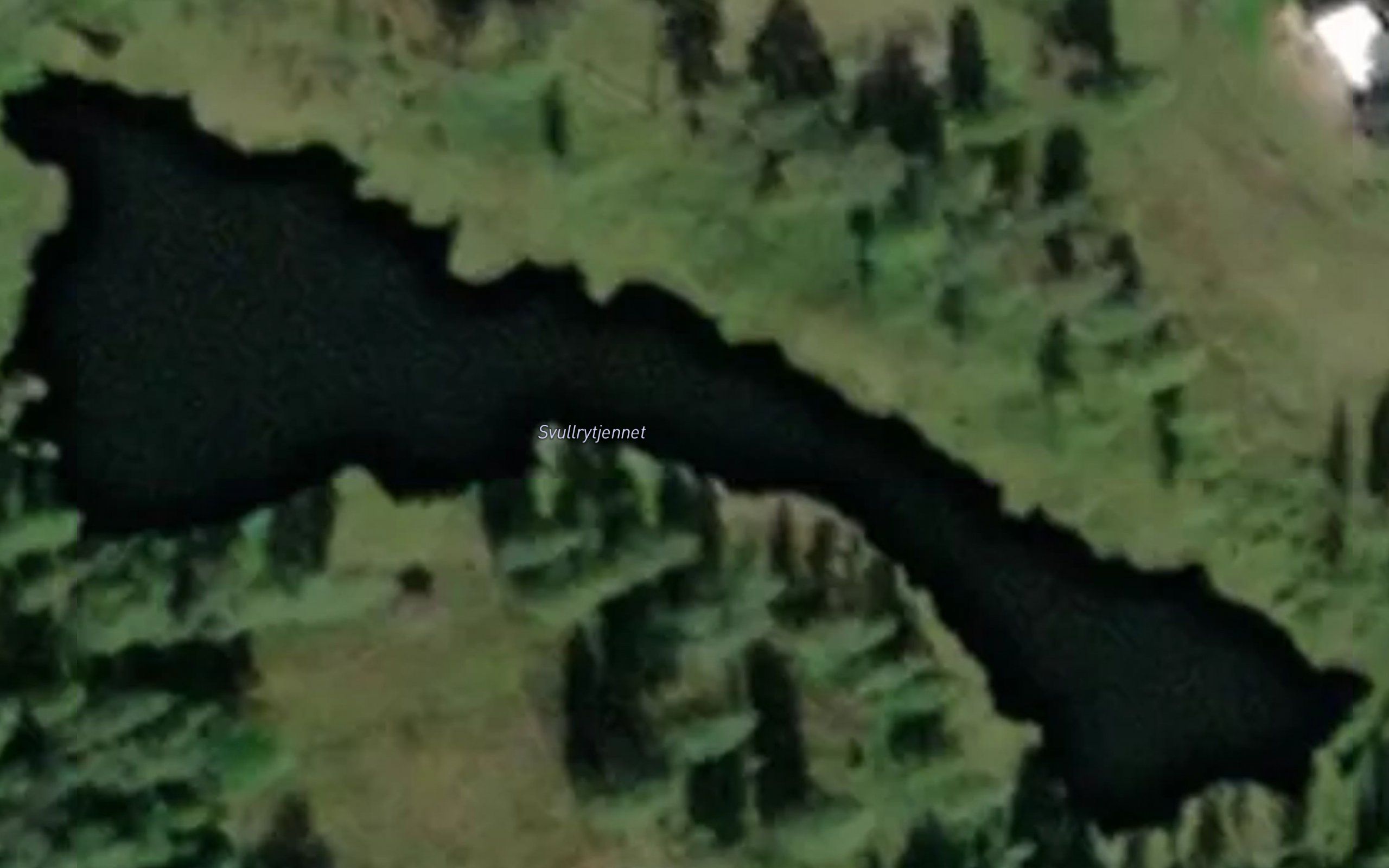 Svullrytjennet