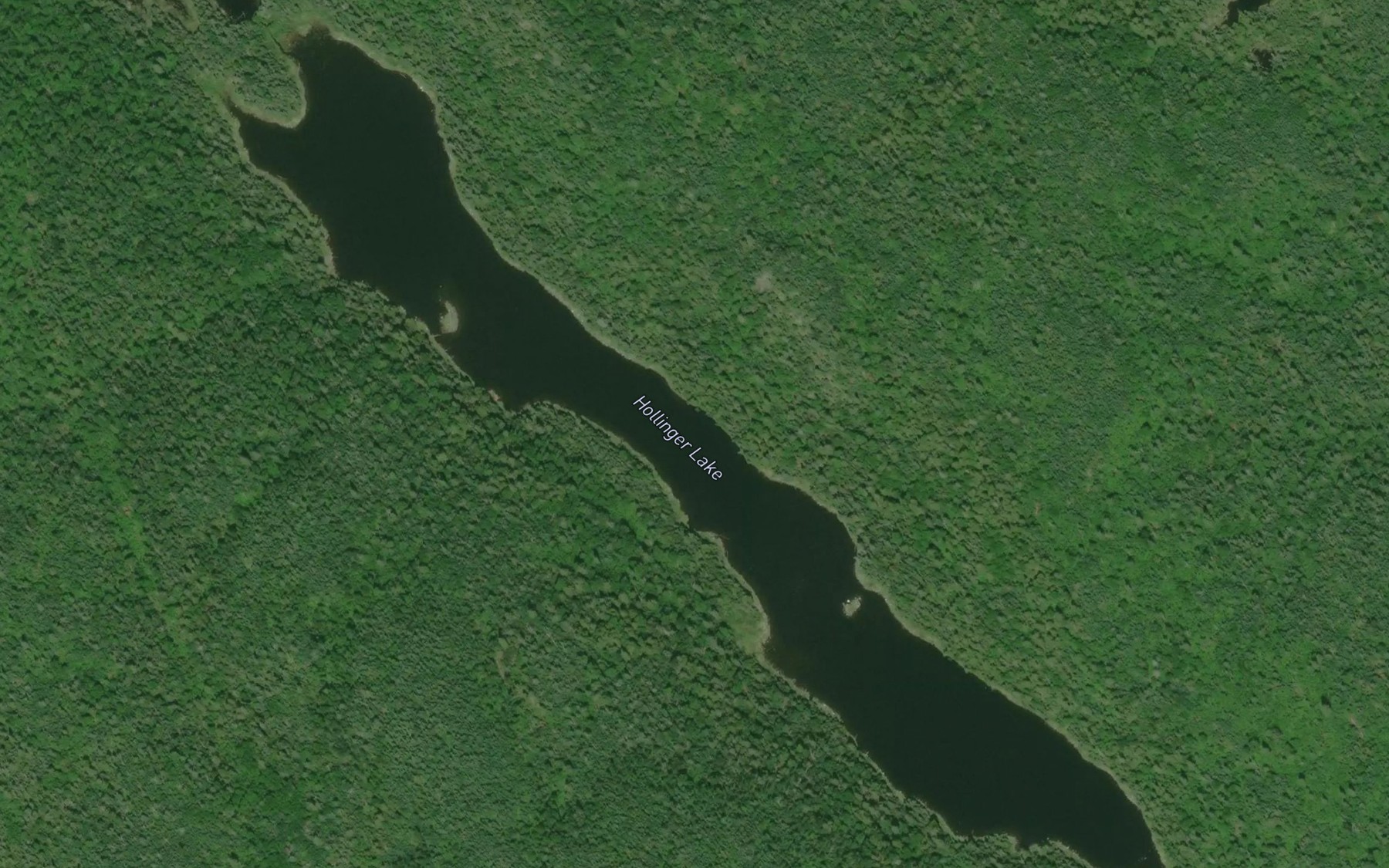 Satellite map of the Hollinger Lake