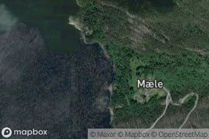 Maelsviki