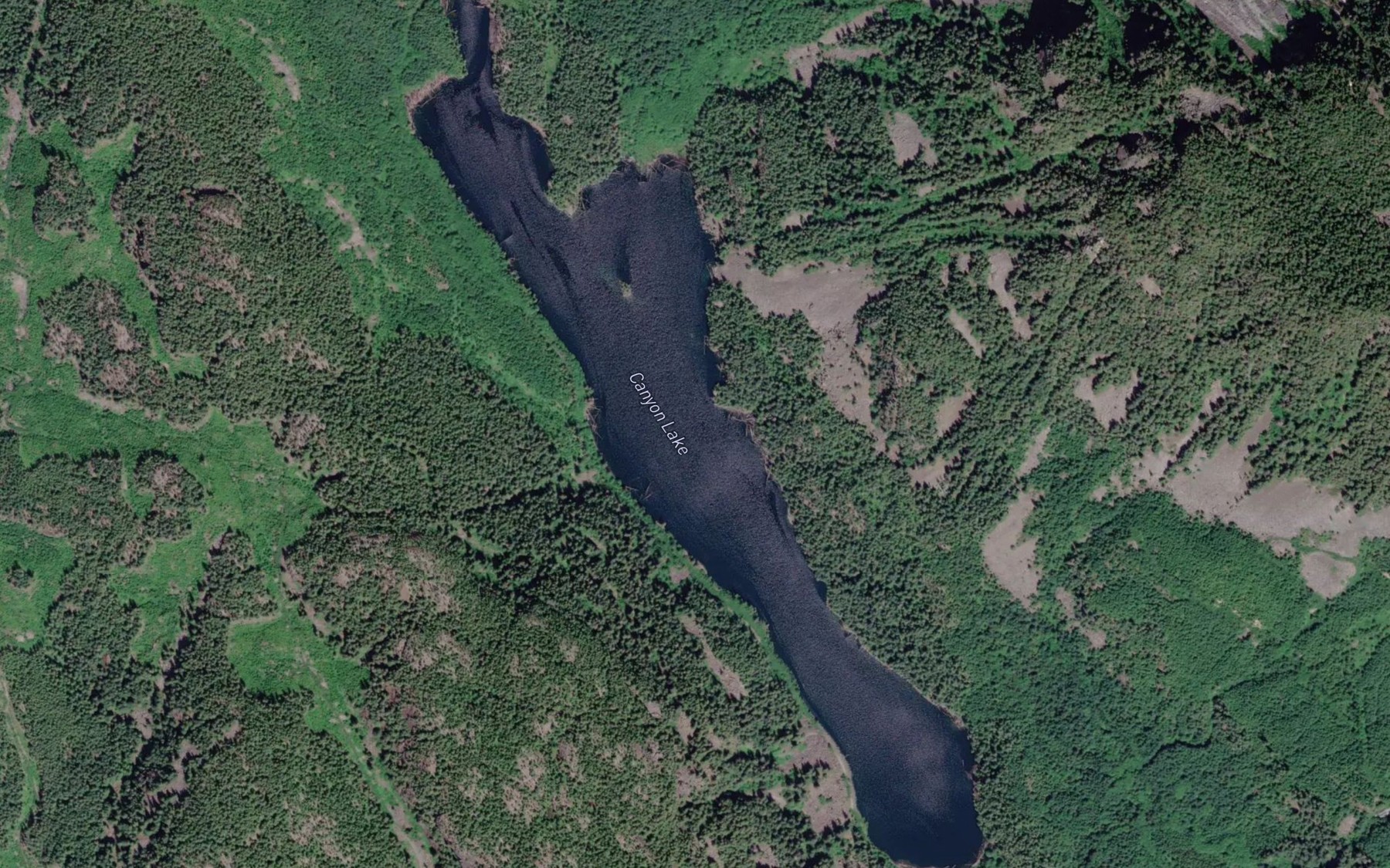 Satellite map of the Canyon Lake