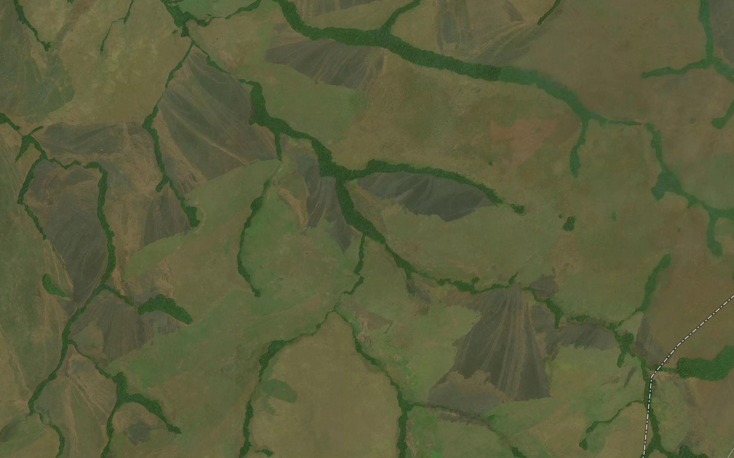 Ngwaka