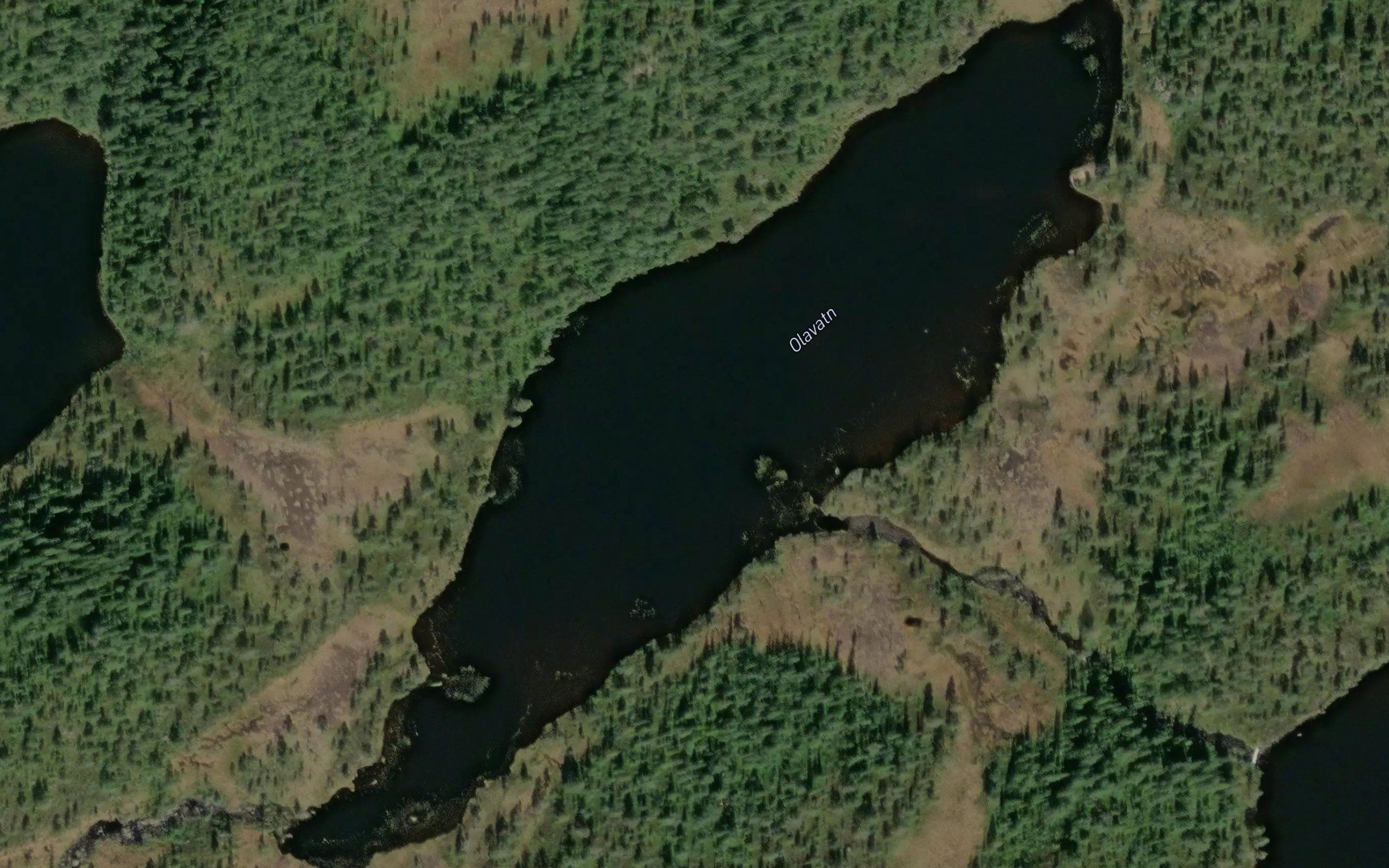 Olavatnet
