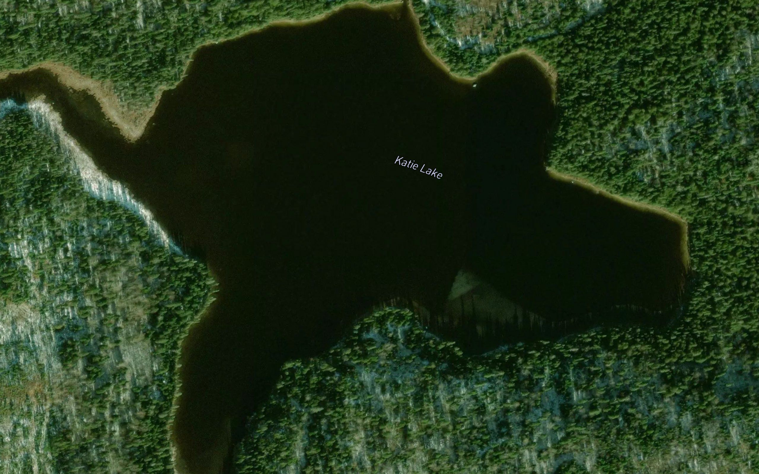 Katie Lake