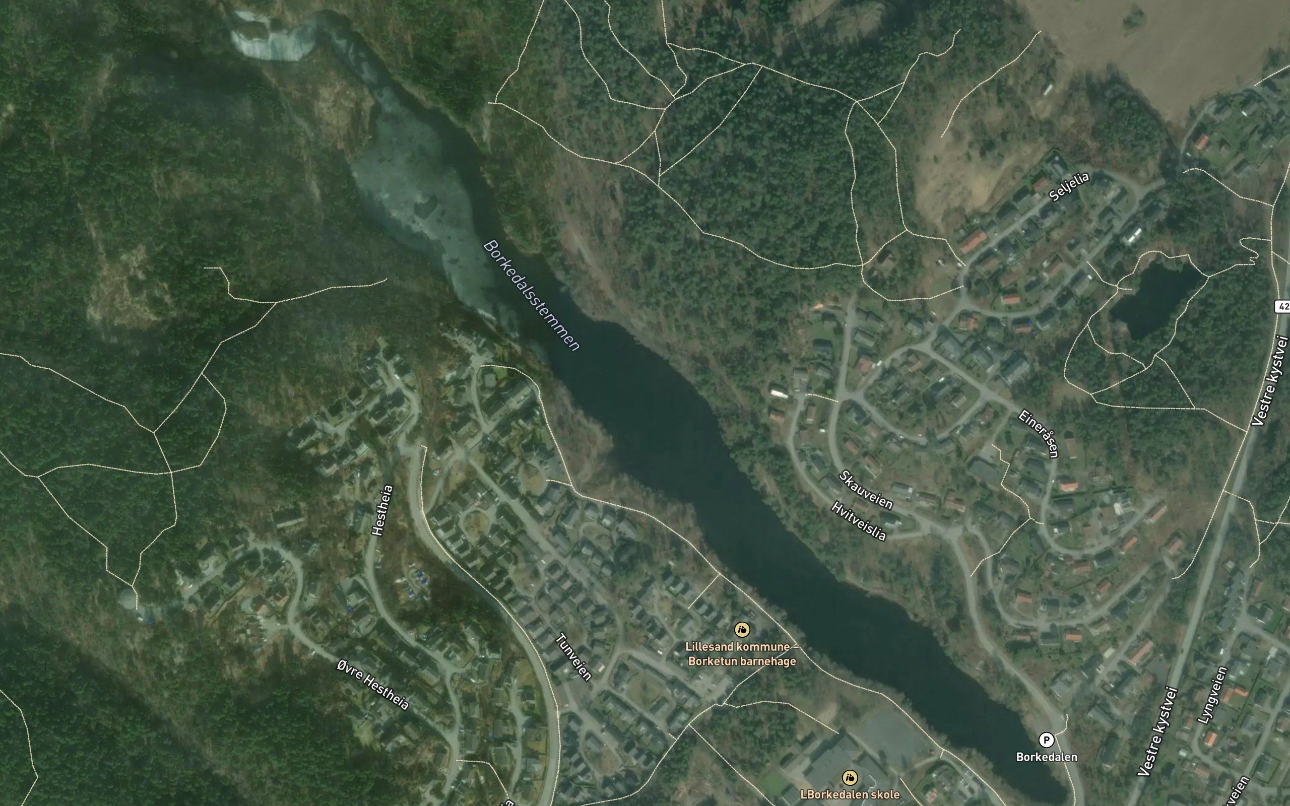 Borkedalsvannet