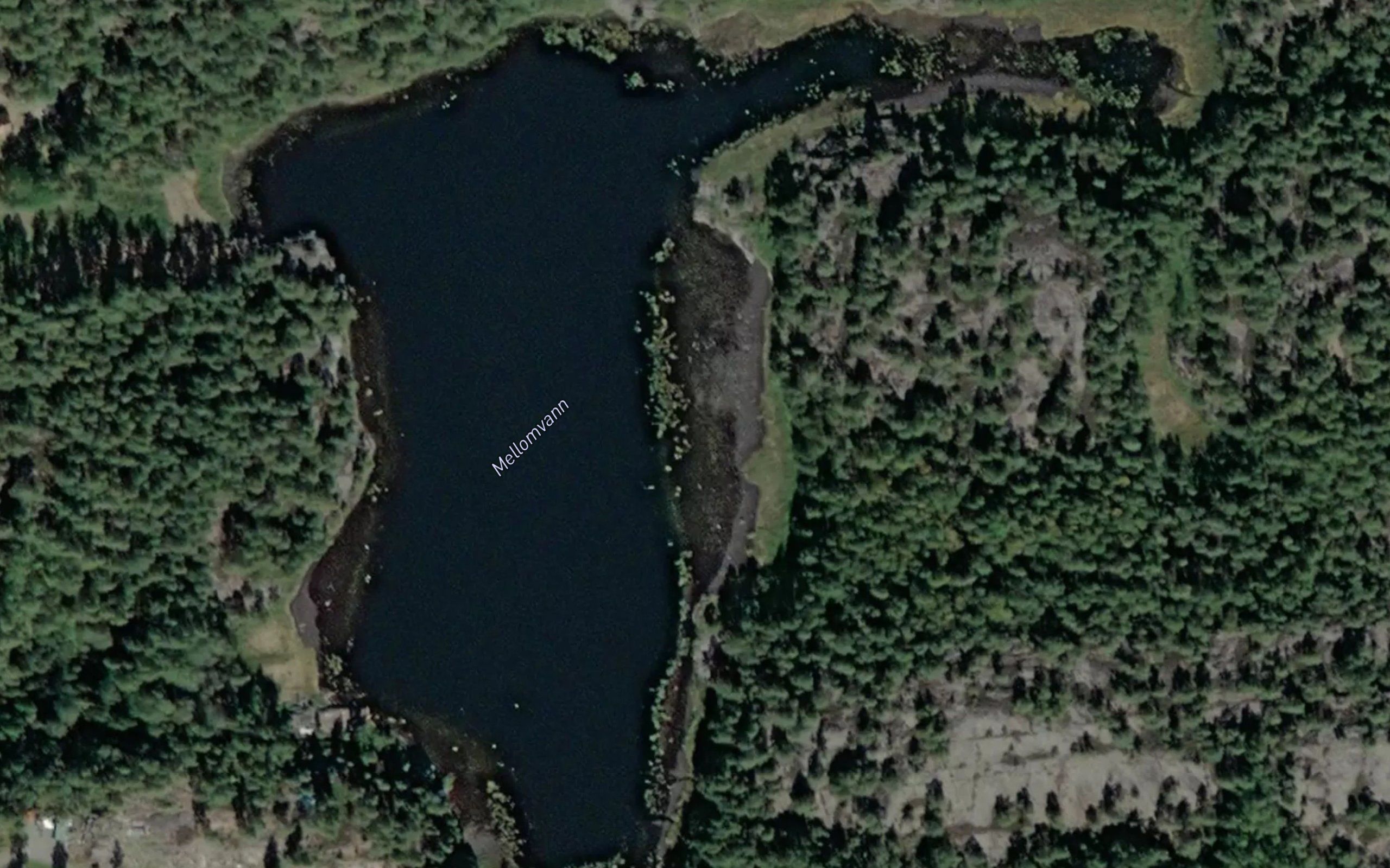 Mellomvann