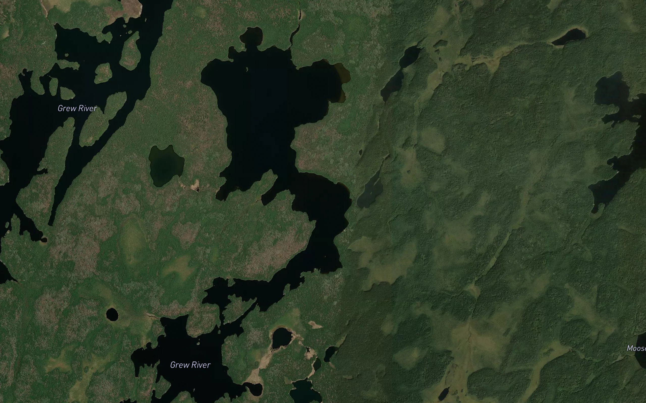 Holly Lake