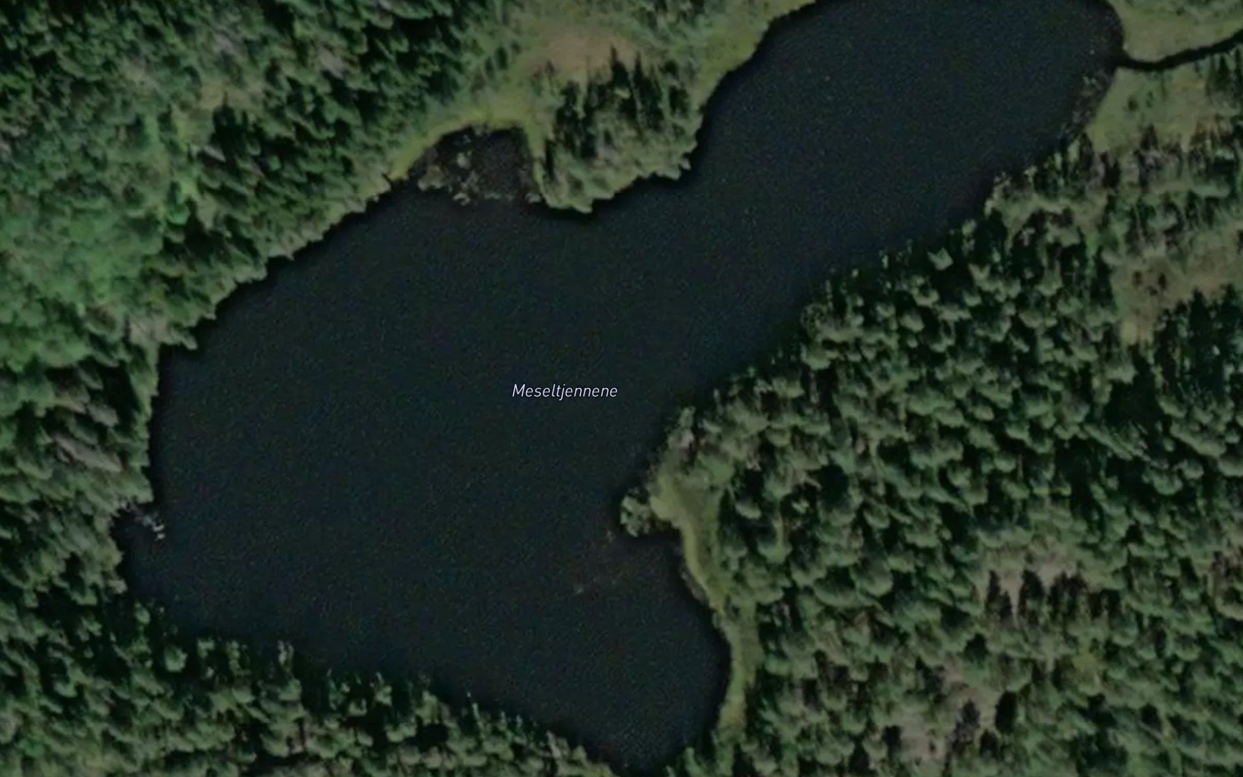 Meseltjornane
