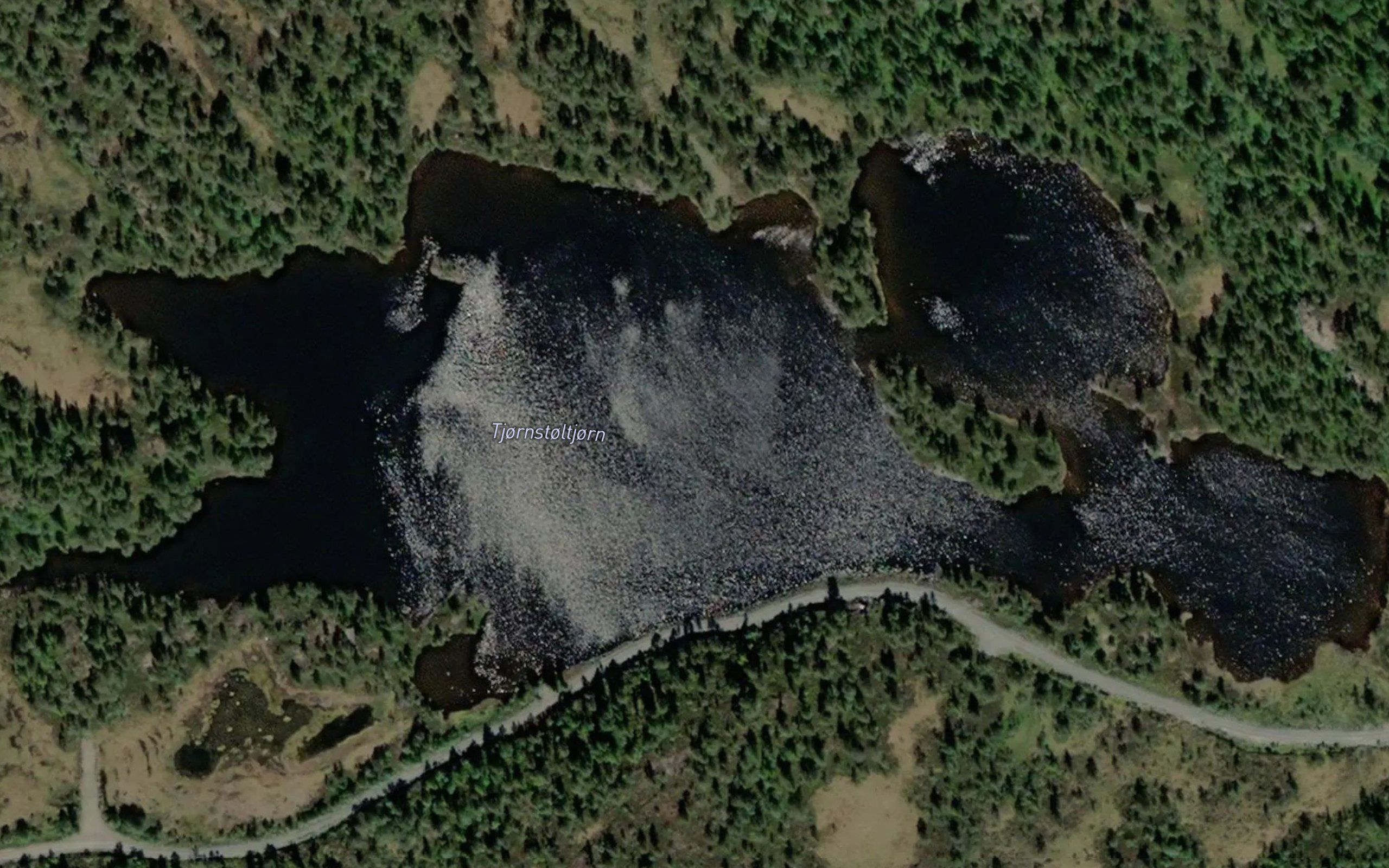 Tjornstoltjorn