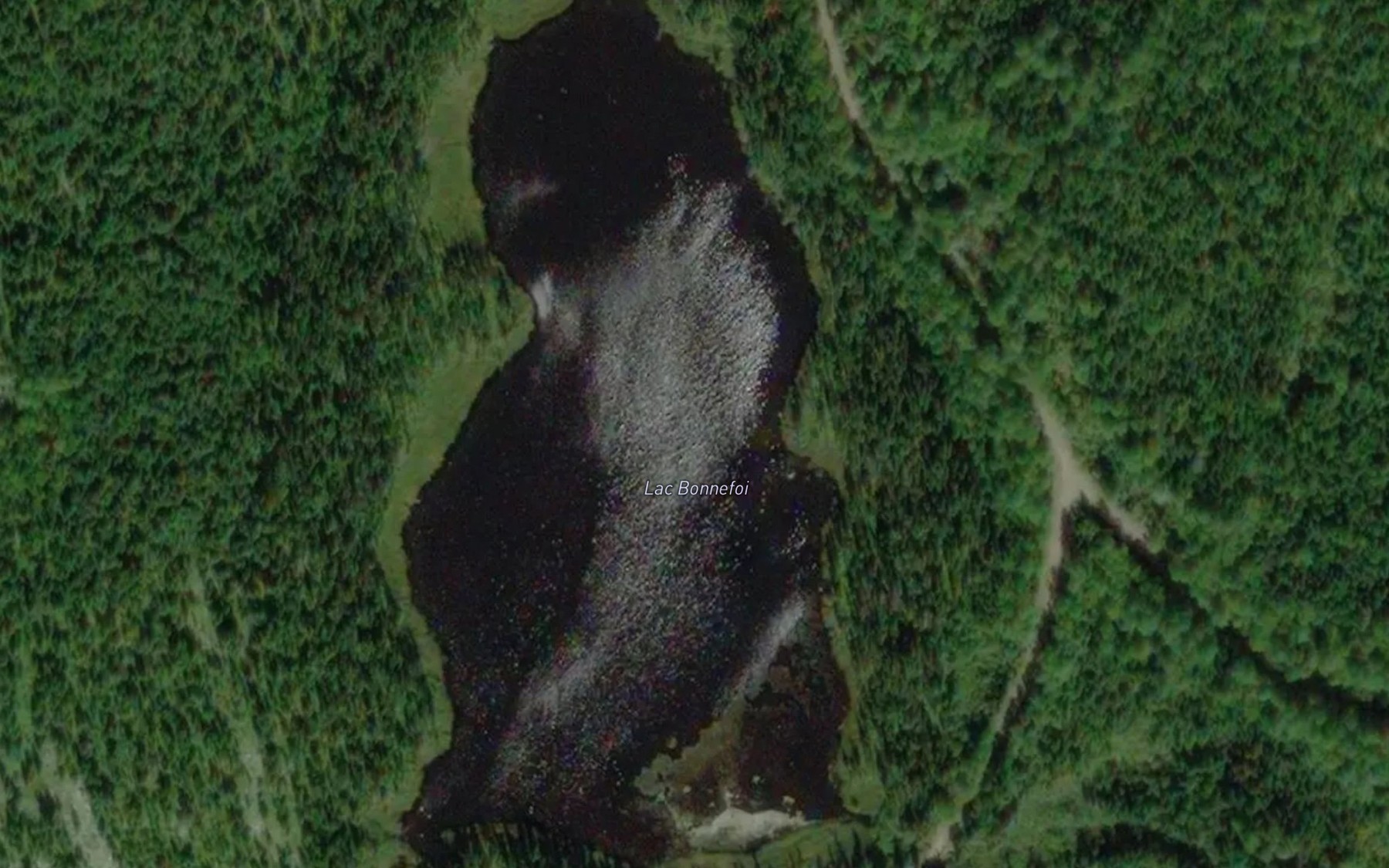 Satellite map of the Lac Bonnefoi