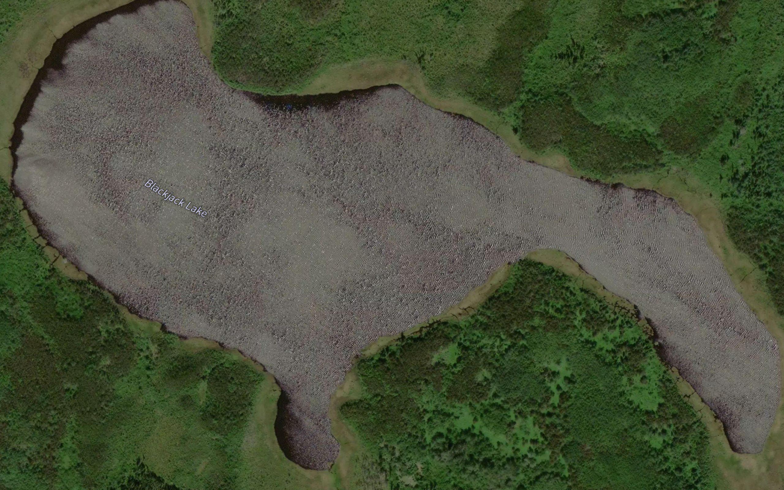 Blackjack Lake