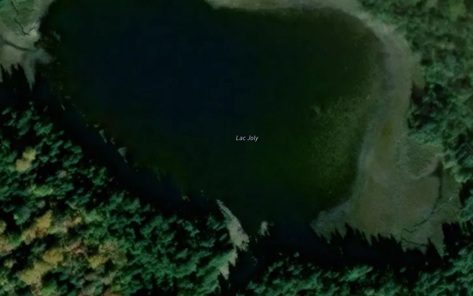 Satellite map of the Lac Joly