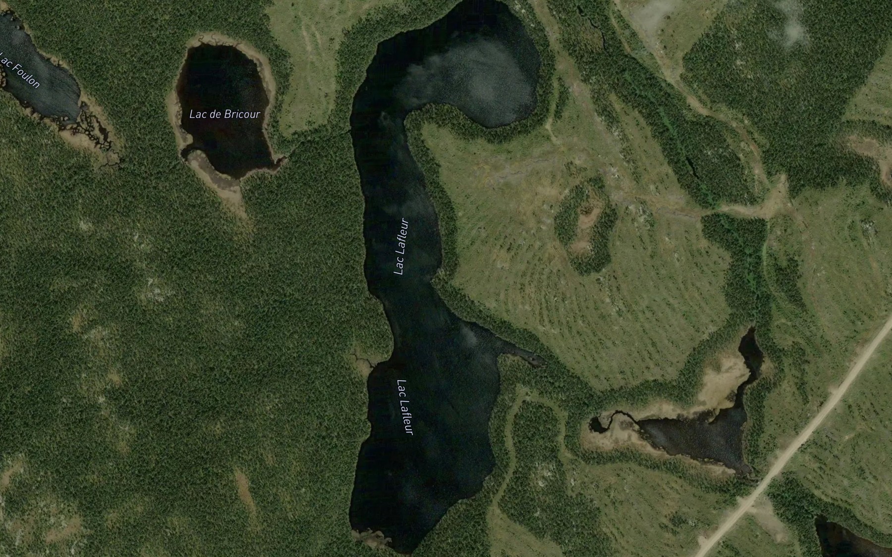 Satellite map of the Lac Lafleur
