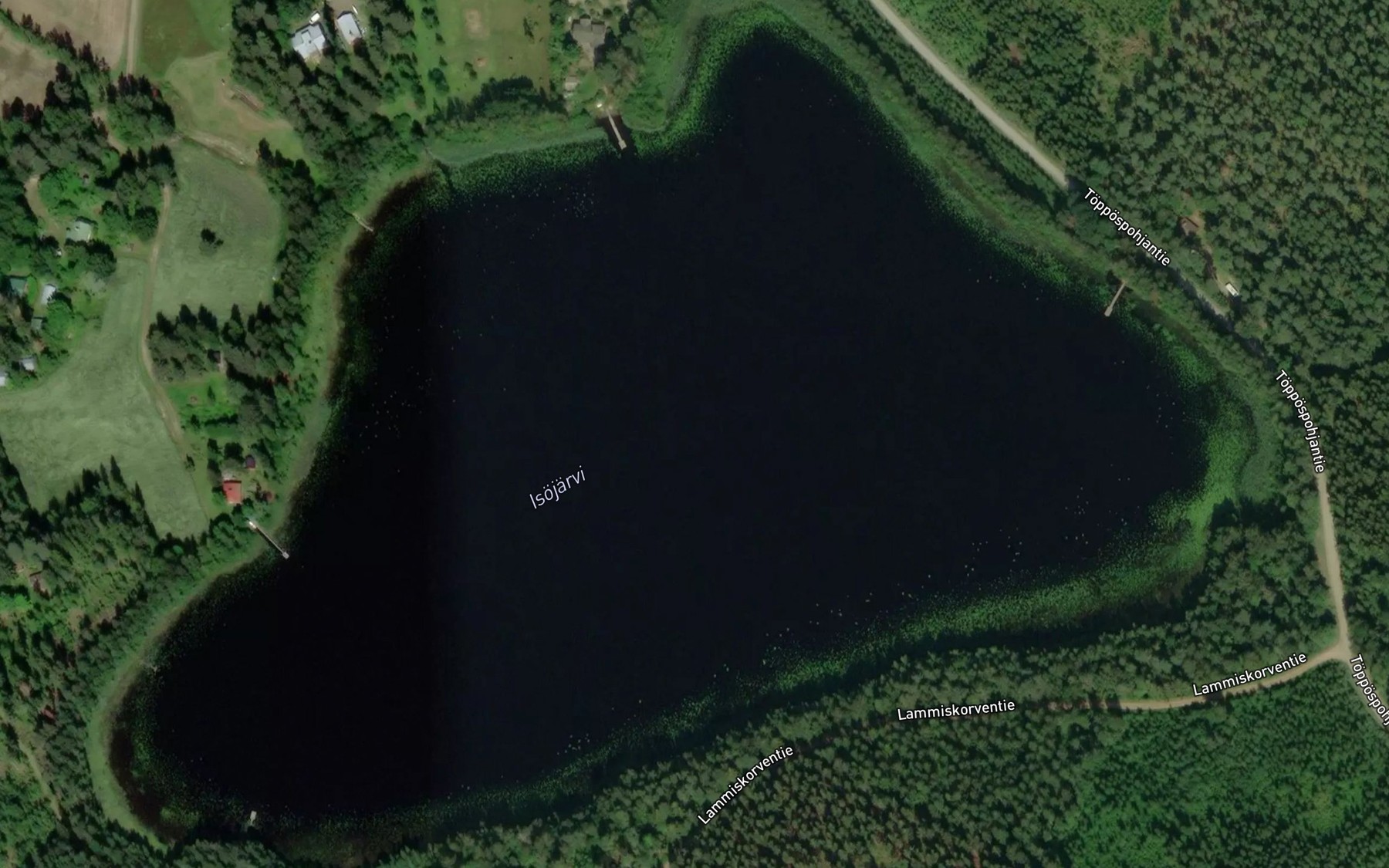 Satellite map of the Isojarvi