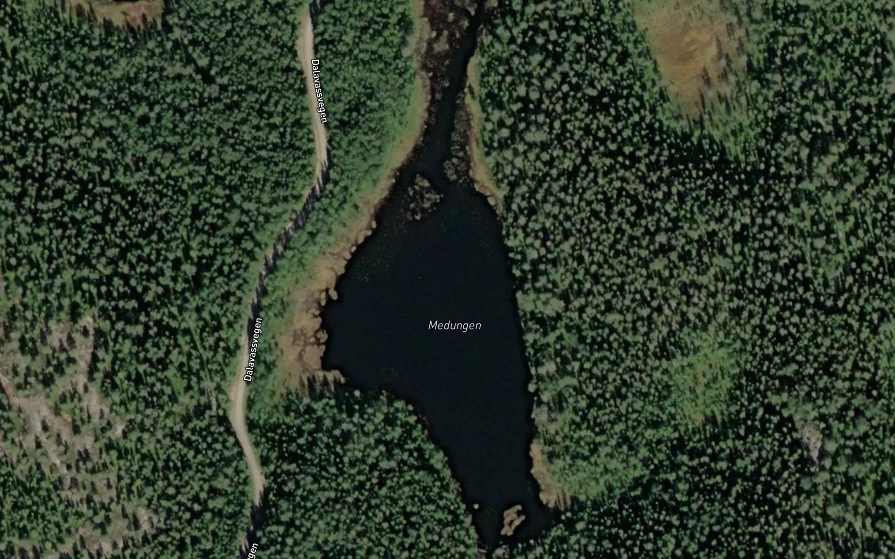 Satellite map of the Medungen