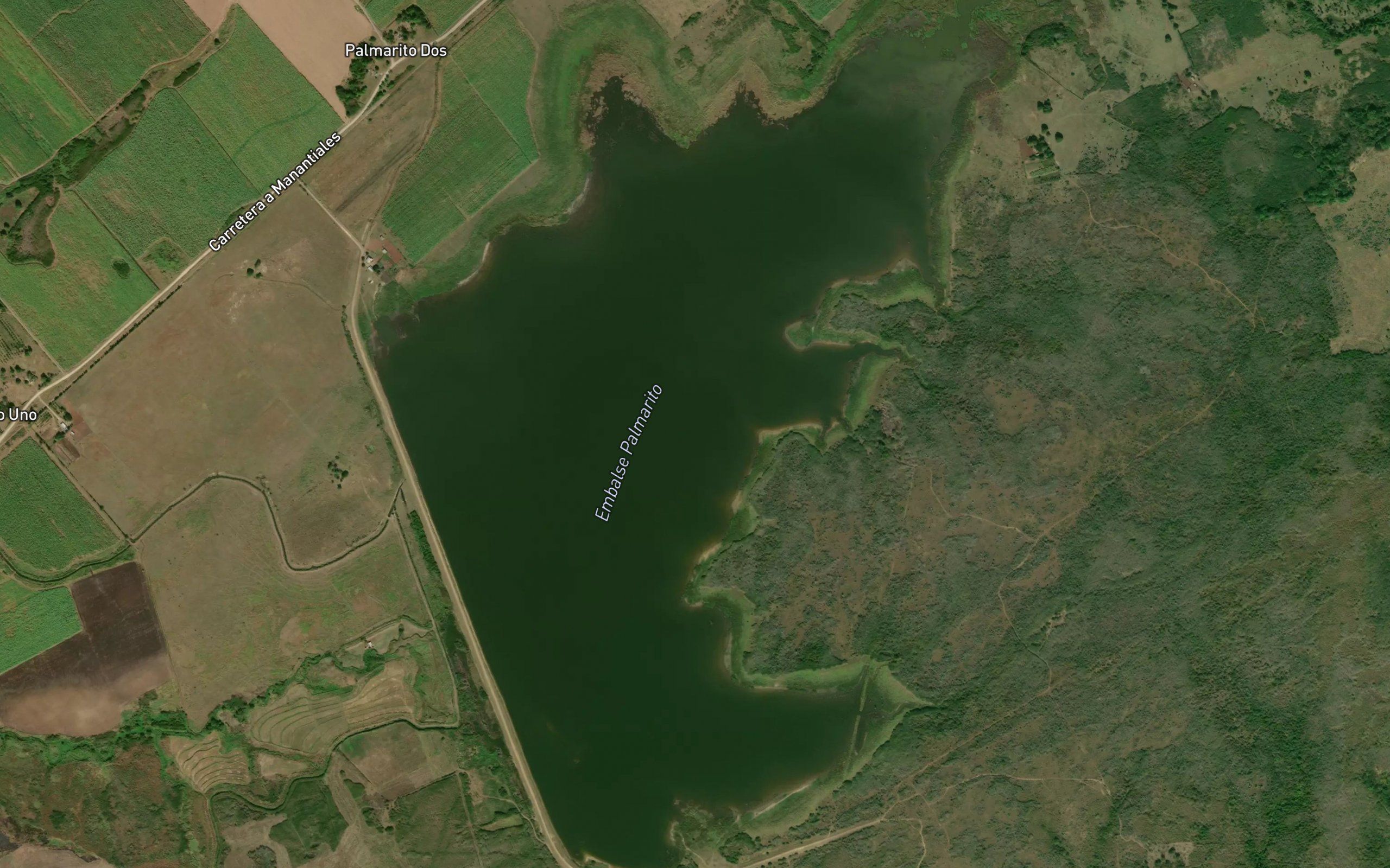 Embalse Palmarito