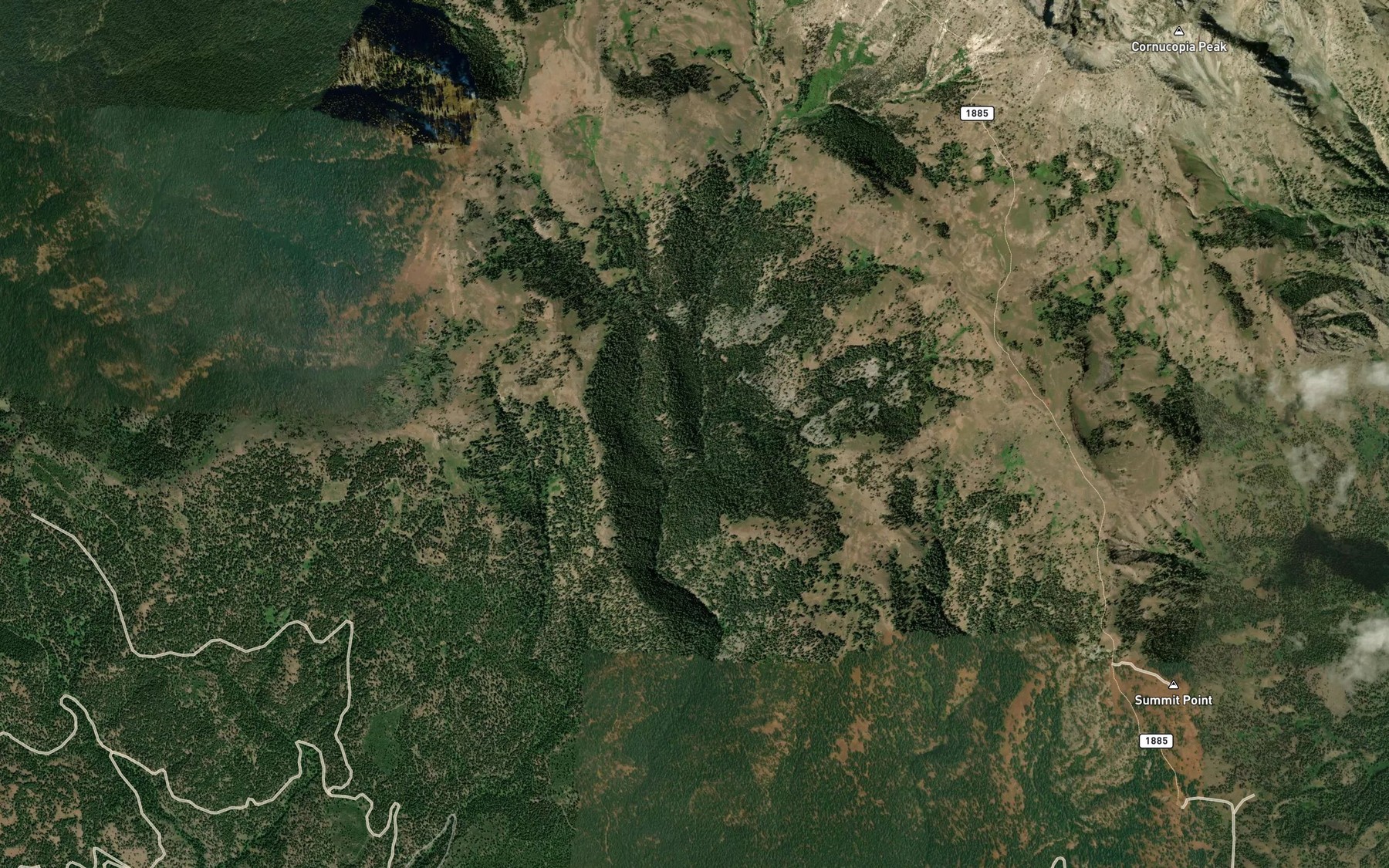 Satellite map of the Spring Creek