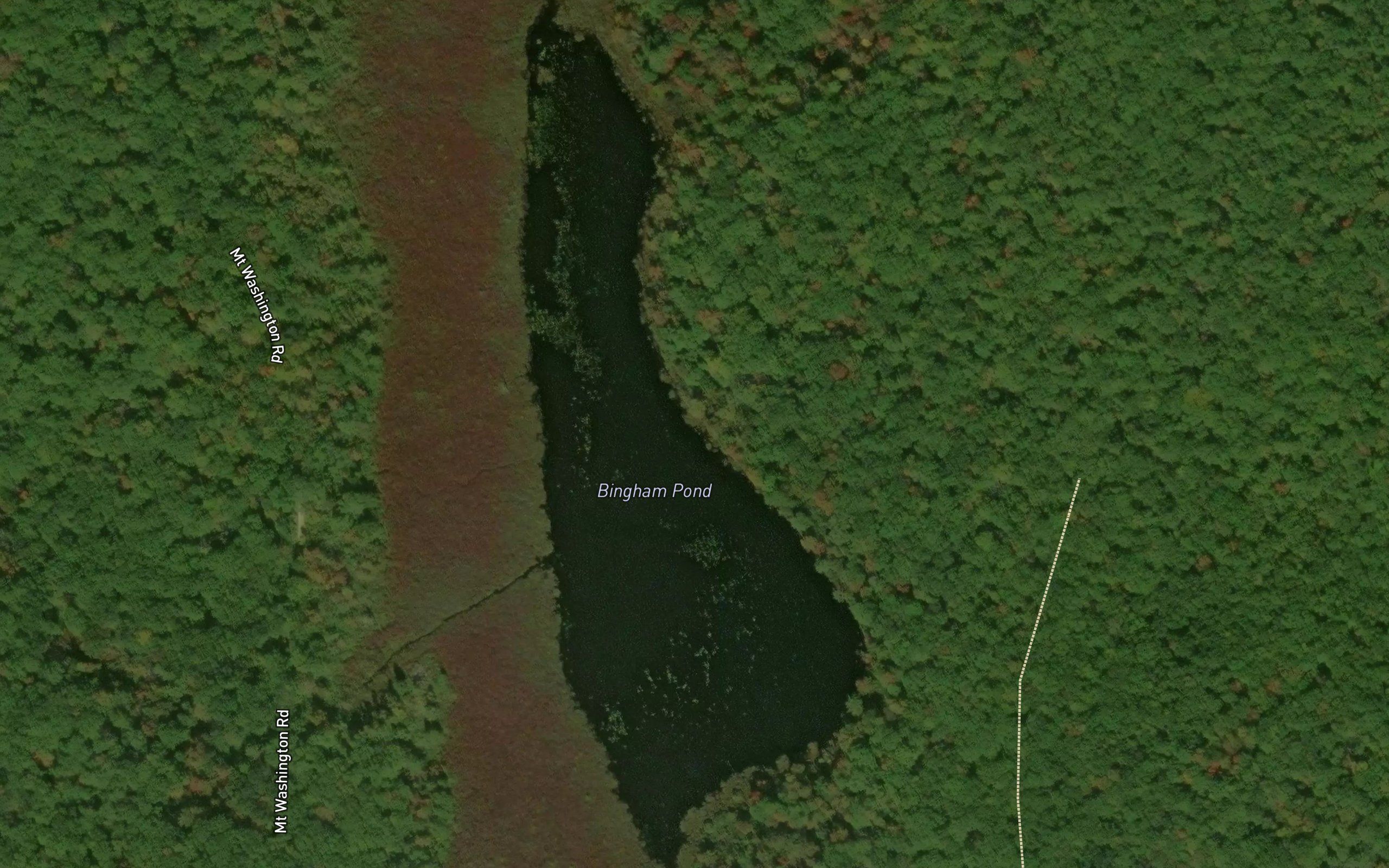 Bingham Pond