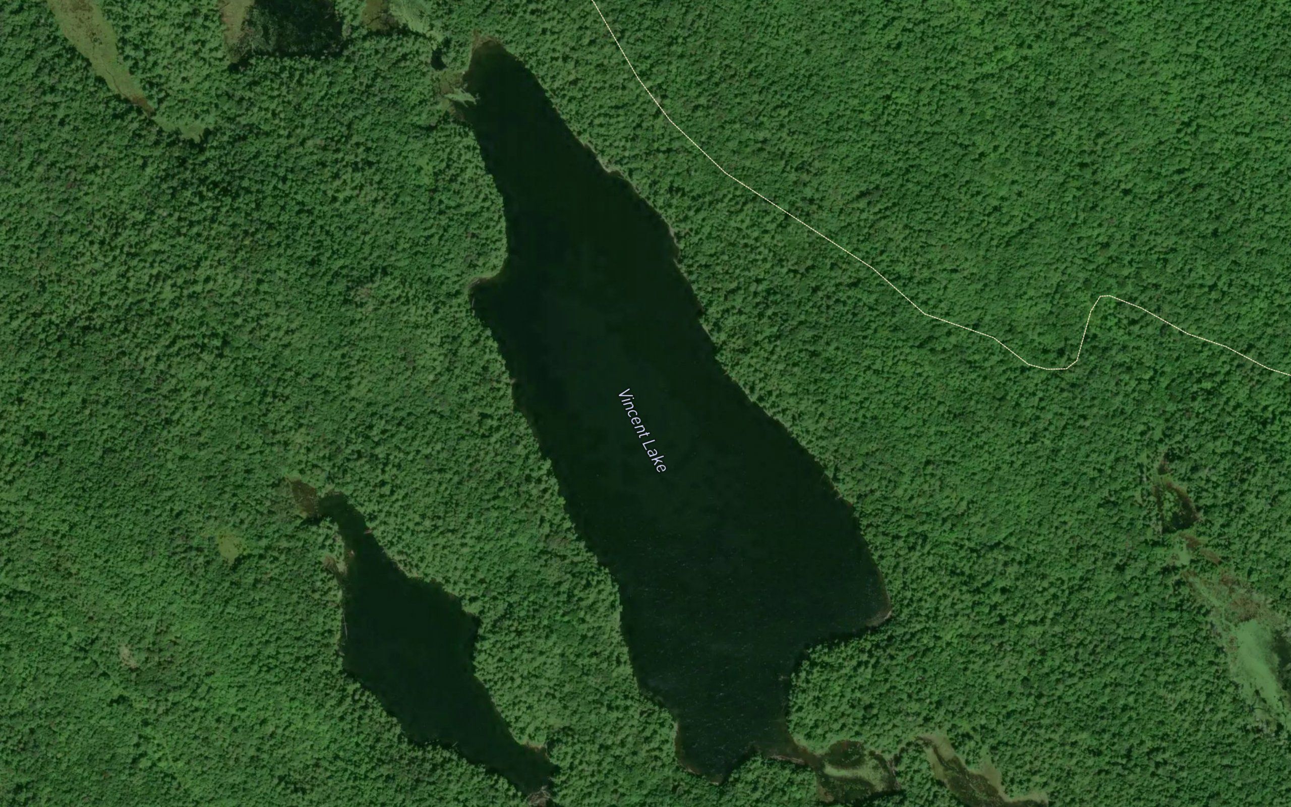Vincent Lake