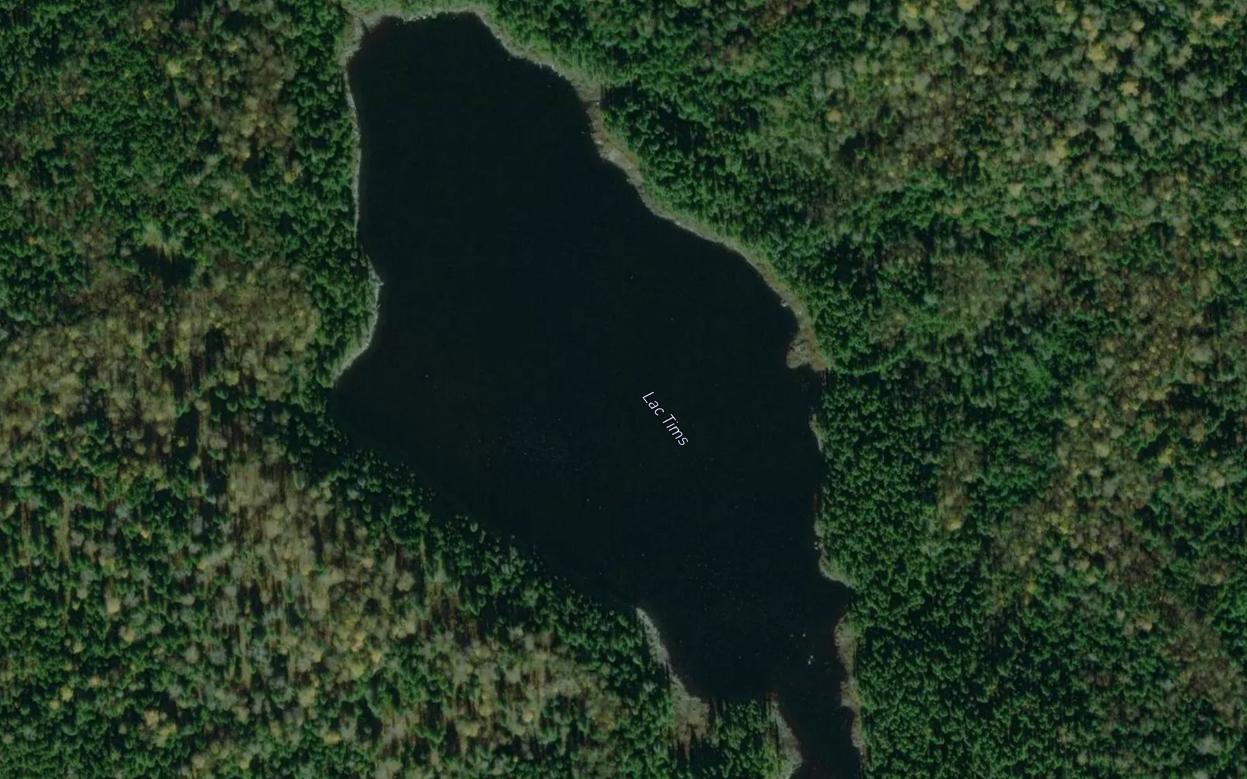 Satellite map of the Lac Tims