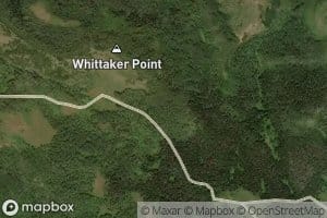 Lettuce Patch Springs