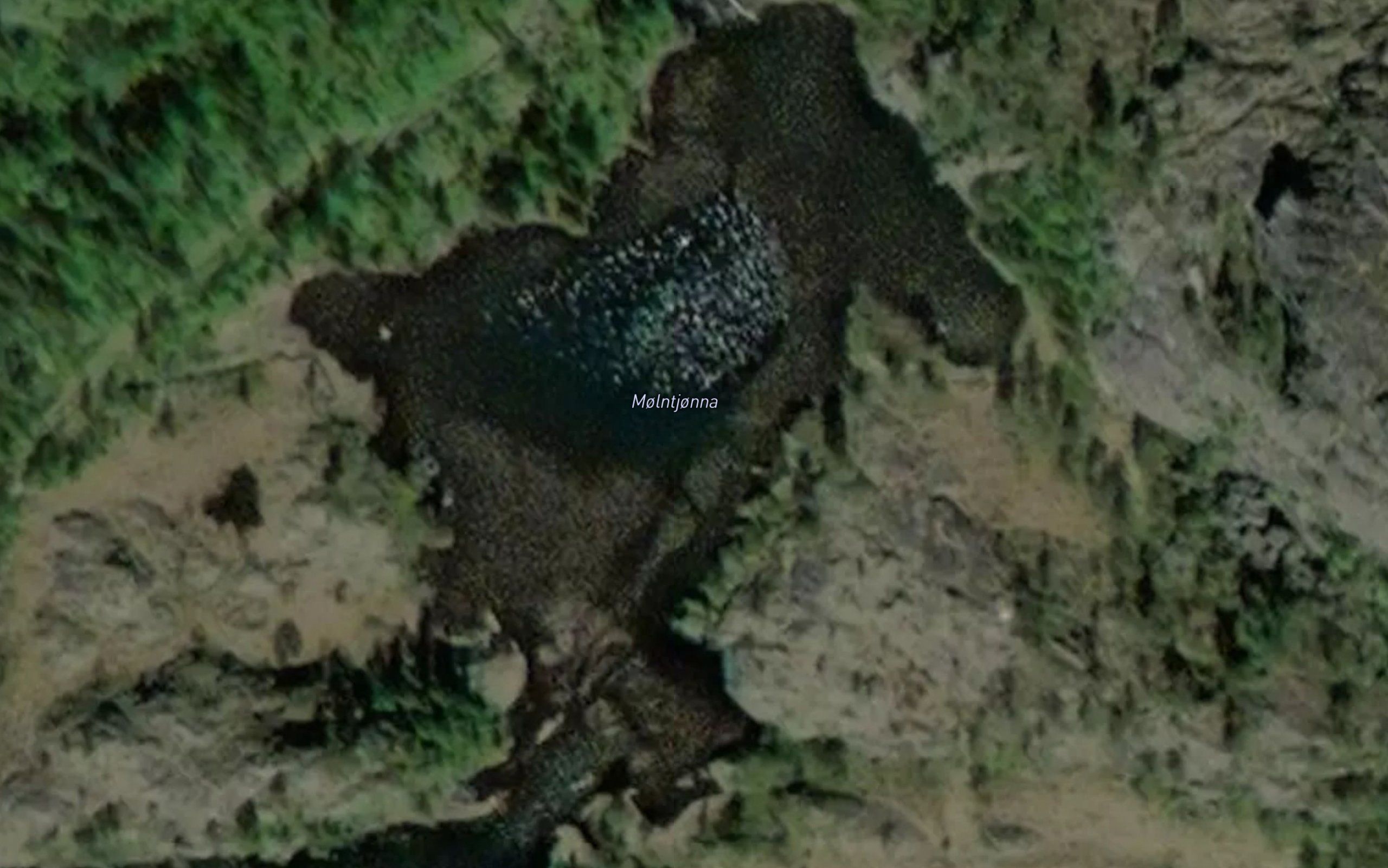 Molntjorna