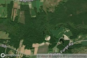 North Prong Chinners Swamp