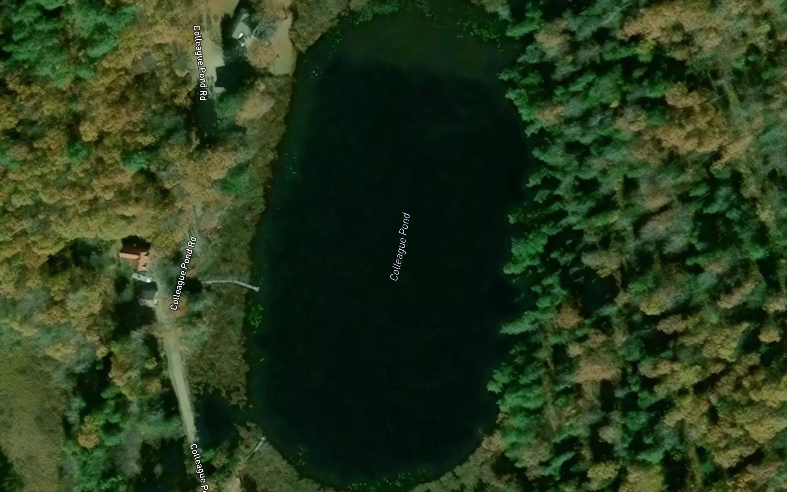 Colleague Pond