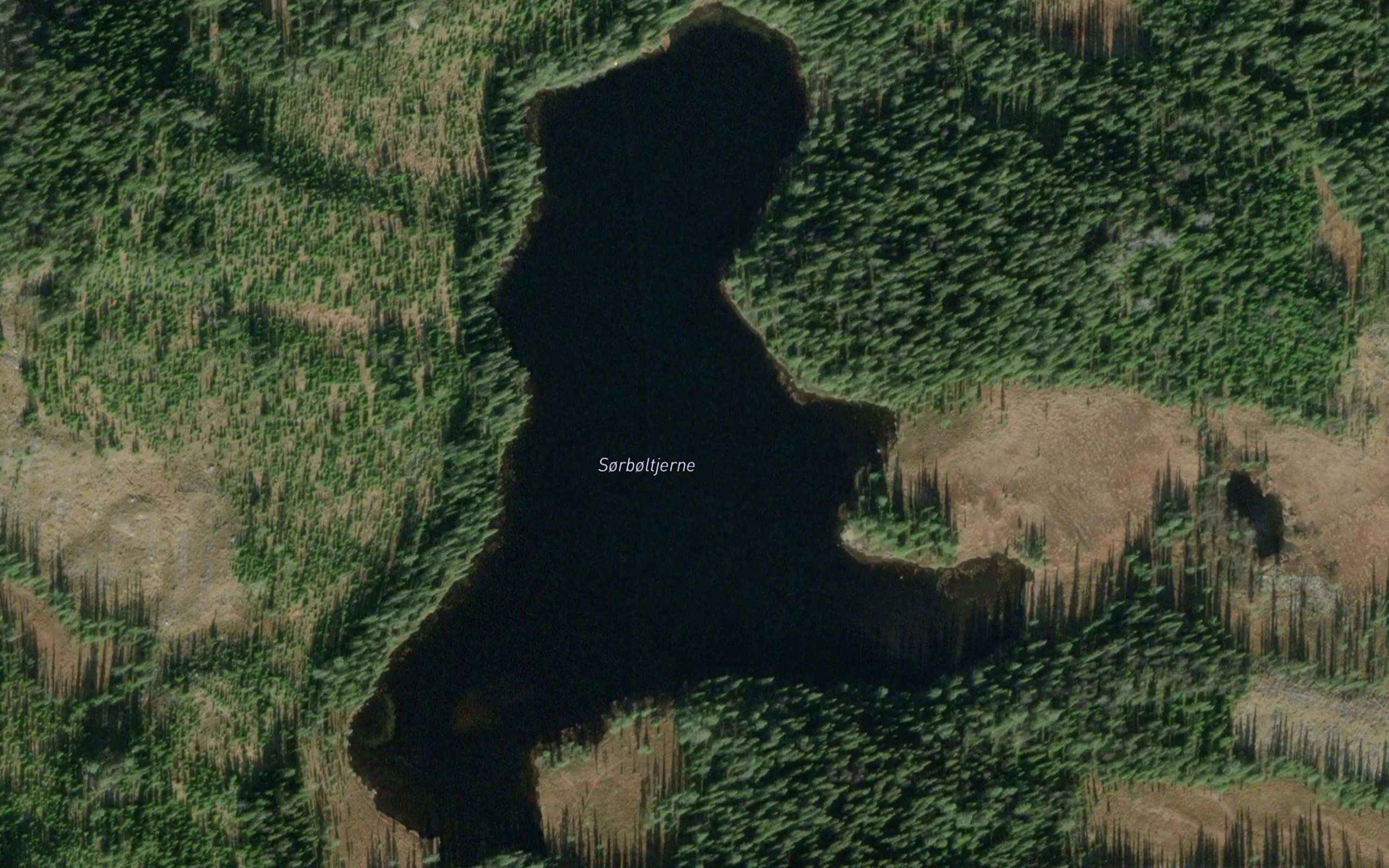 Sorboltjerni