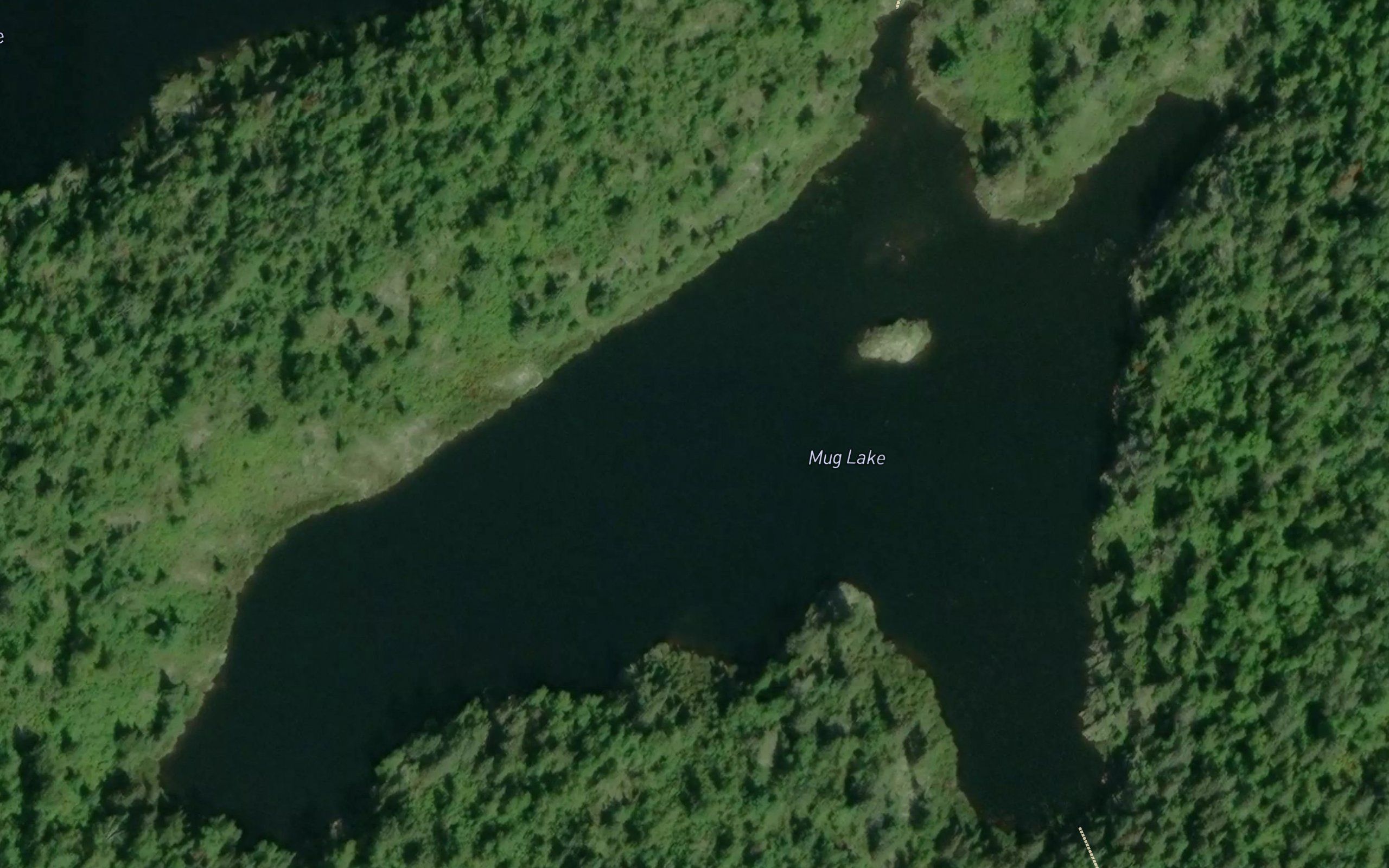 Mug Lake