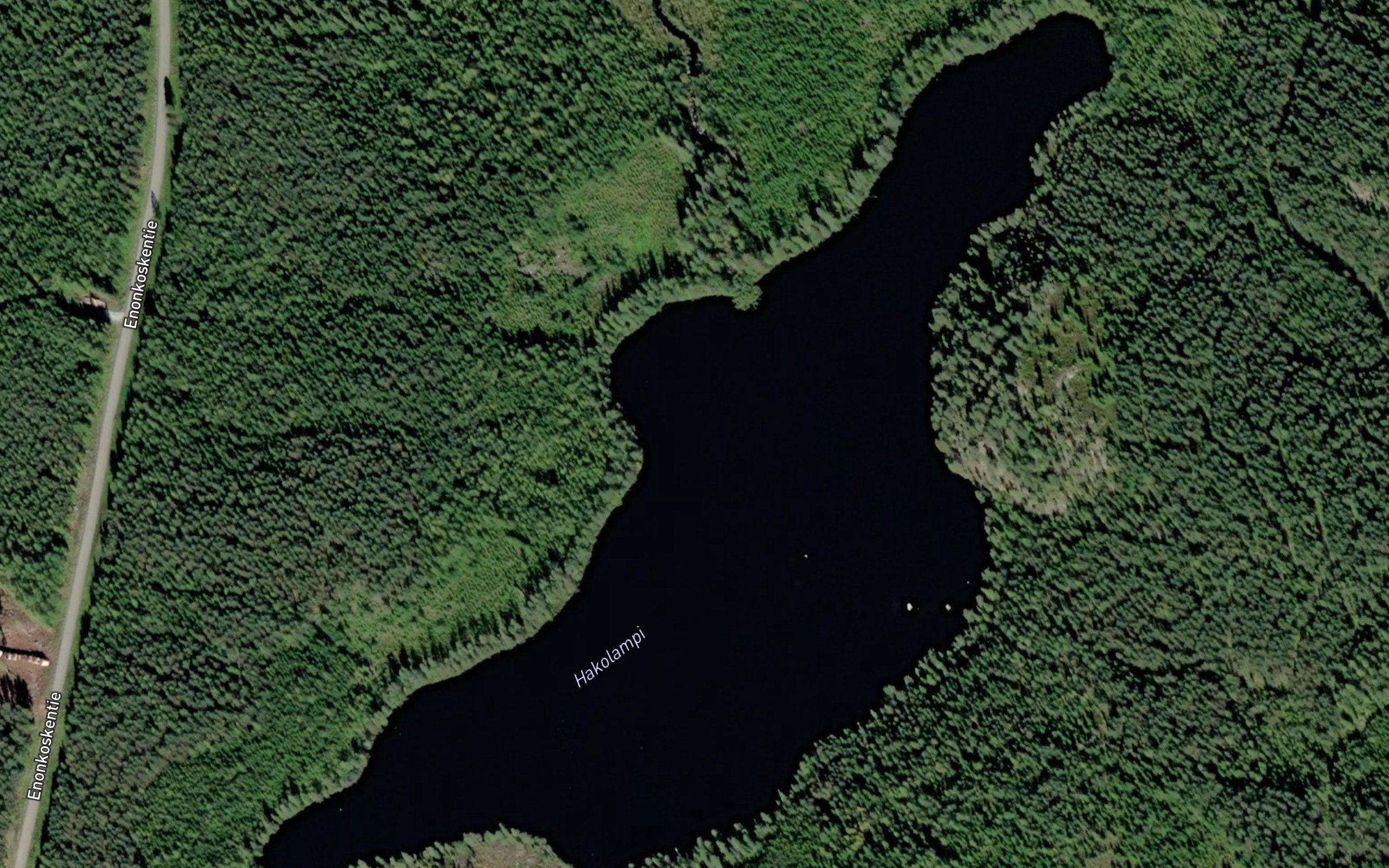 Hakolampi