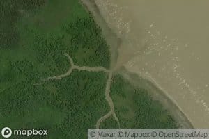 Igarape Grande Crique