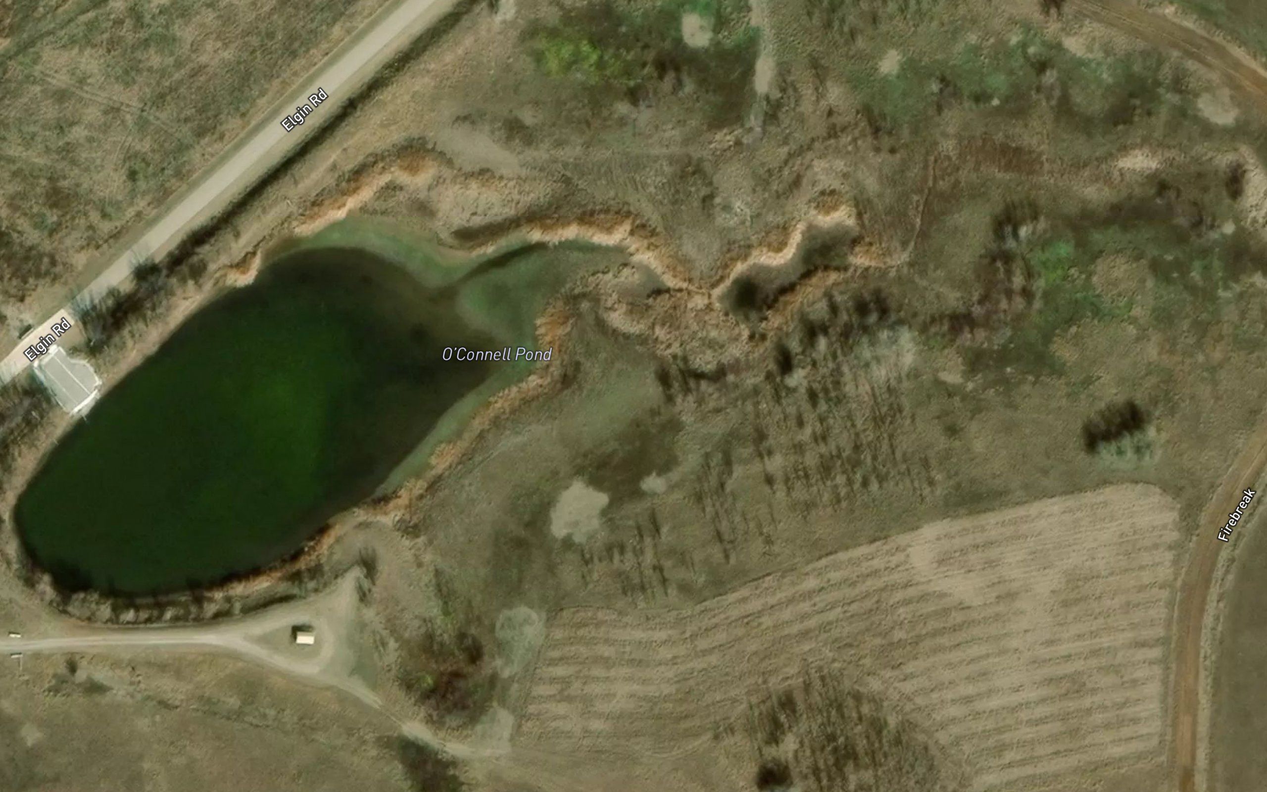 O'Connell Pond