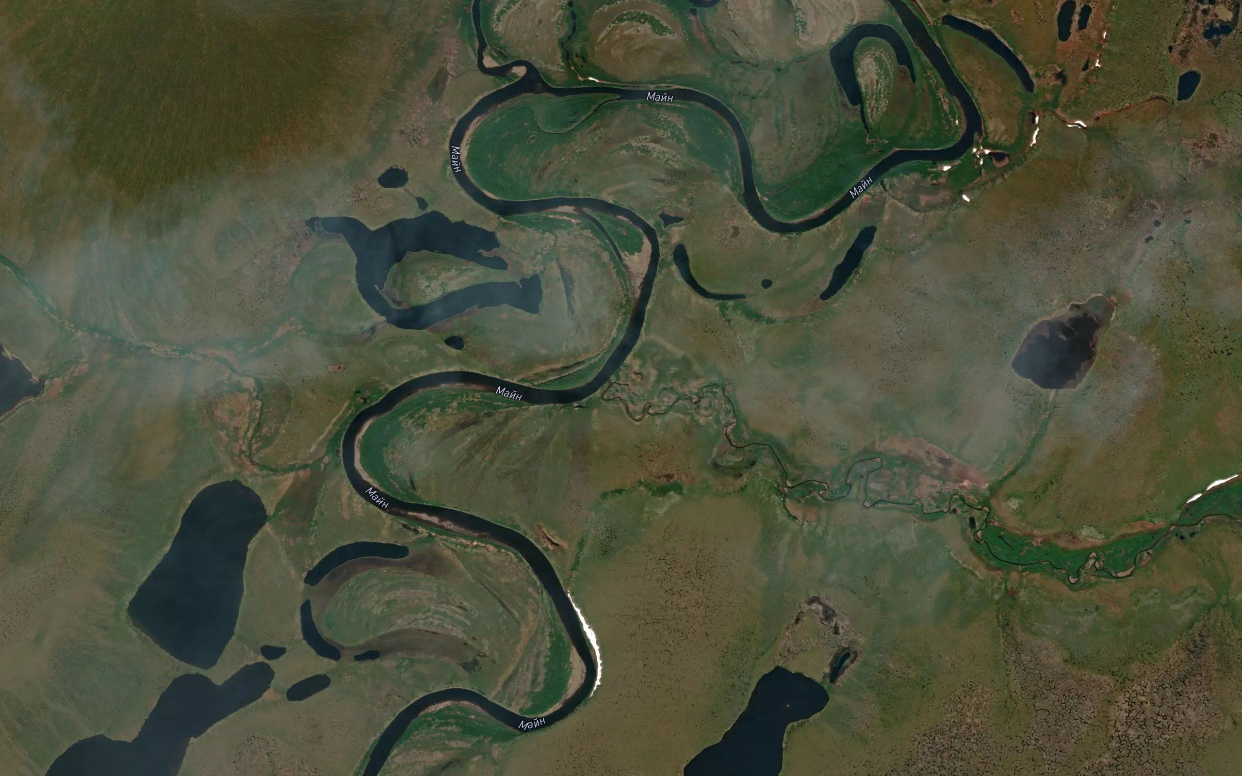 Zaboynaya