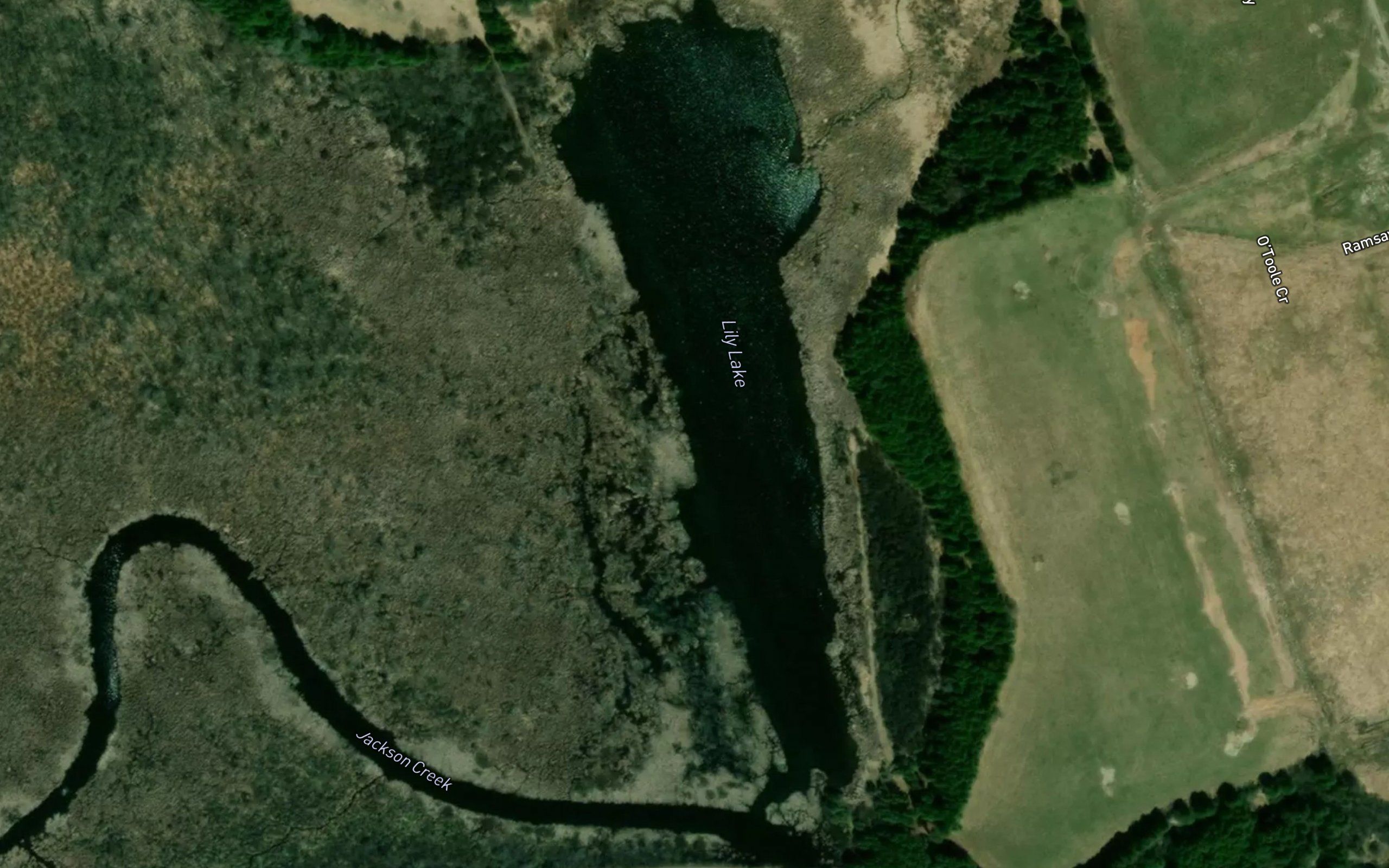 Lily Lake