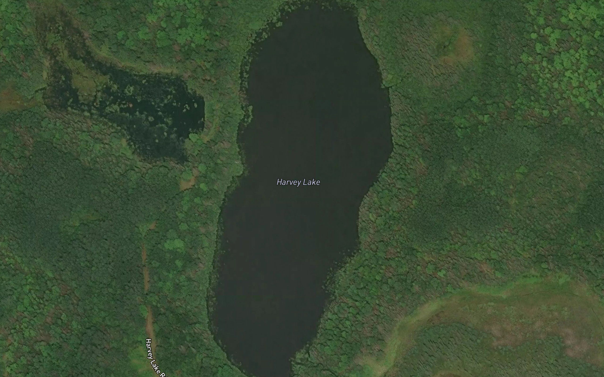 Harvey Lake