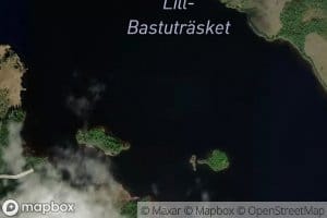 Lill-Bastutrasket