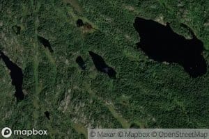 Lomtjorn