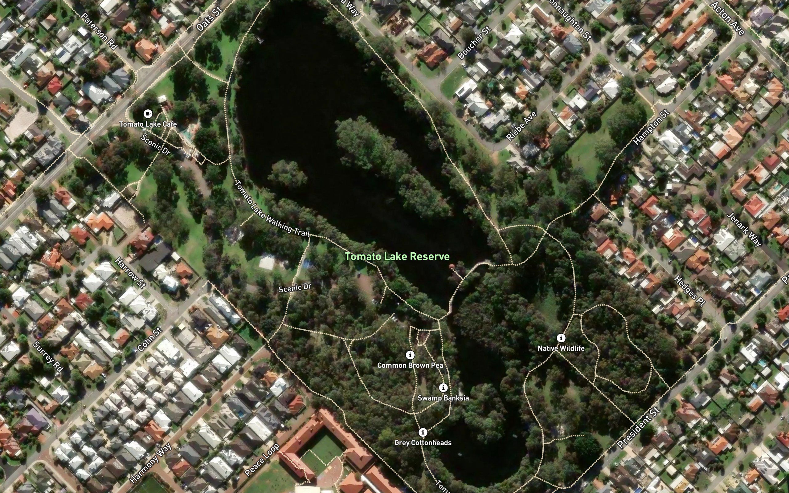 Tomato Lake