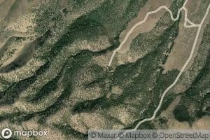 Toms Spring