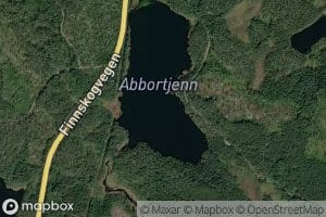 Abbortjern