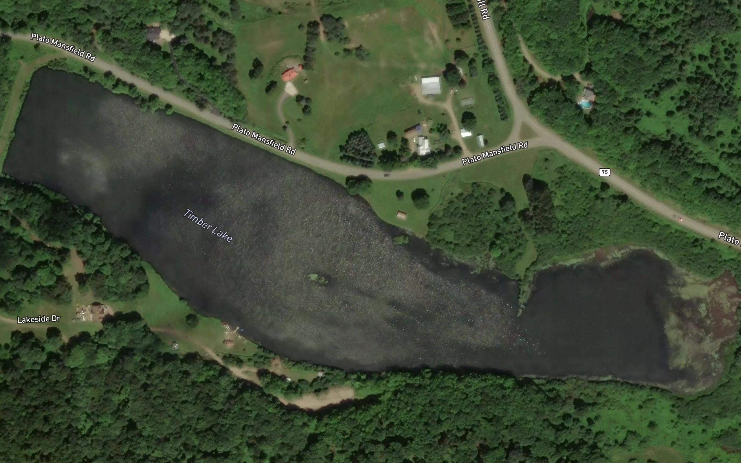 Timber Lake