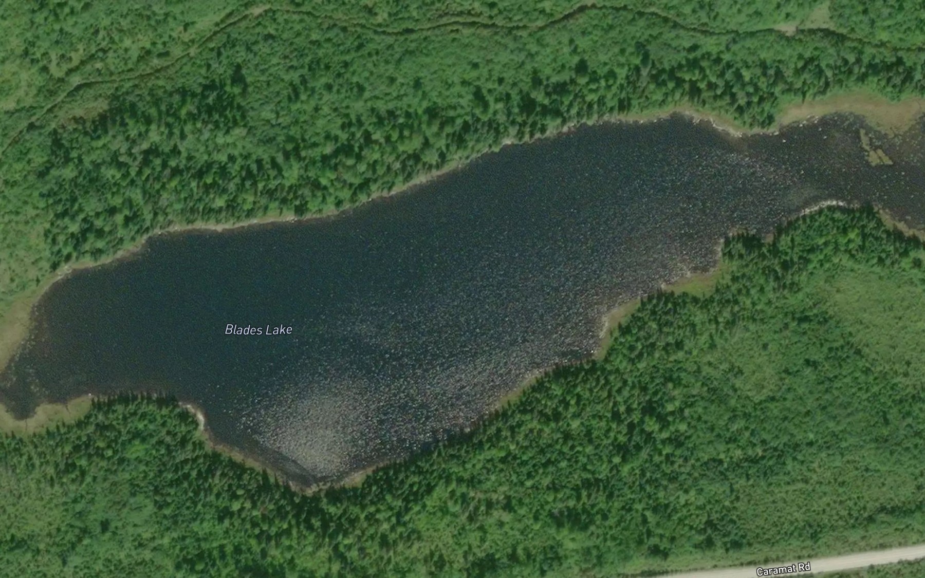 Satellite map of the Blades Lake
