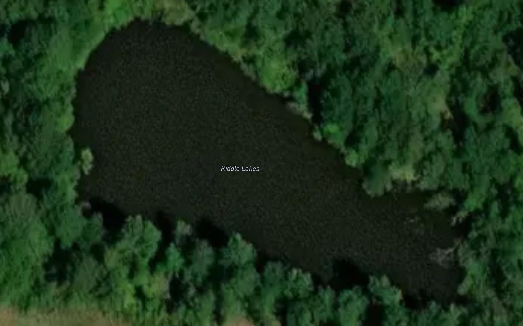 Satellite map of the Riddle Lakes