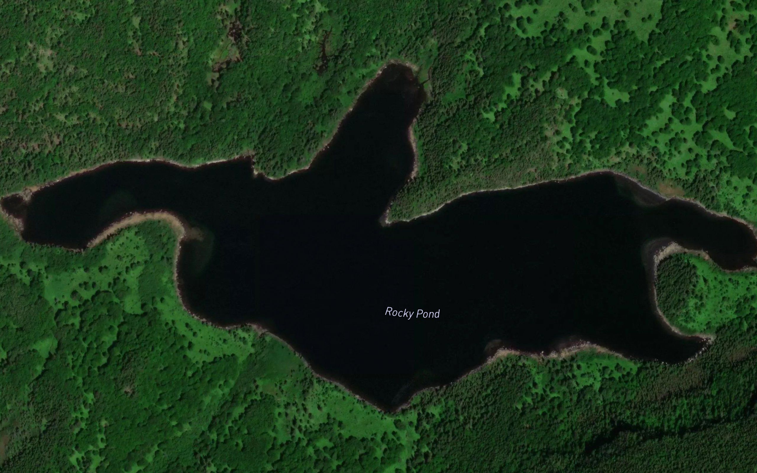 Rocky Pond